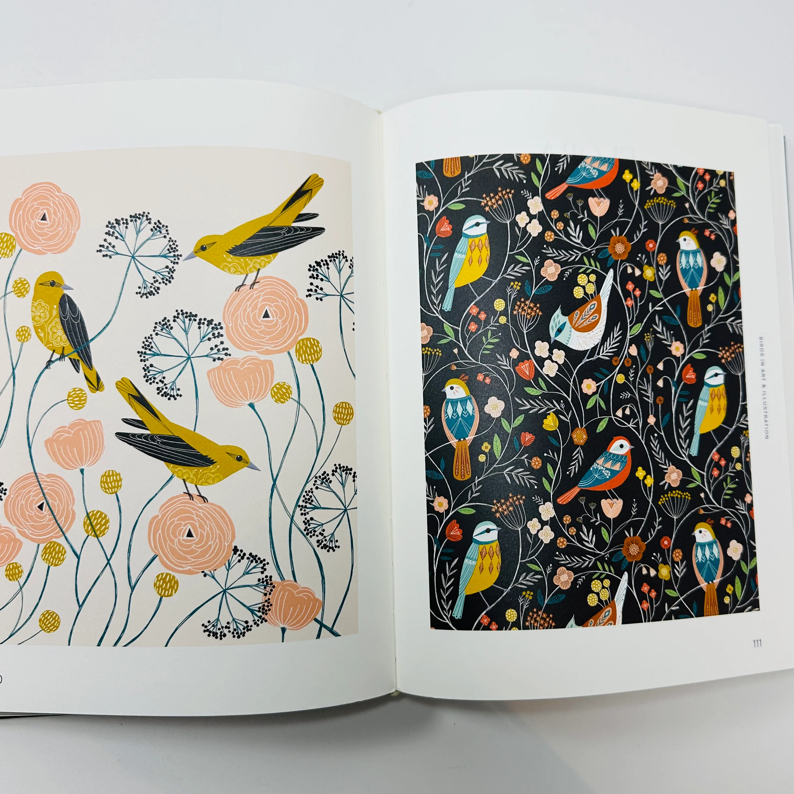 Avian Inspiration - Birds In Art And Illustration - Image 4