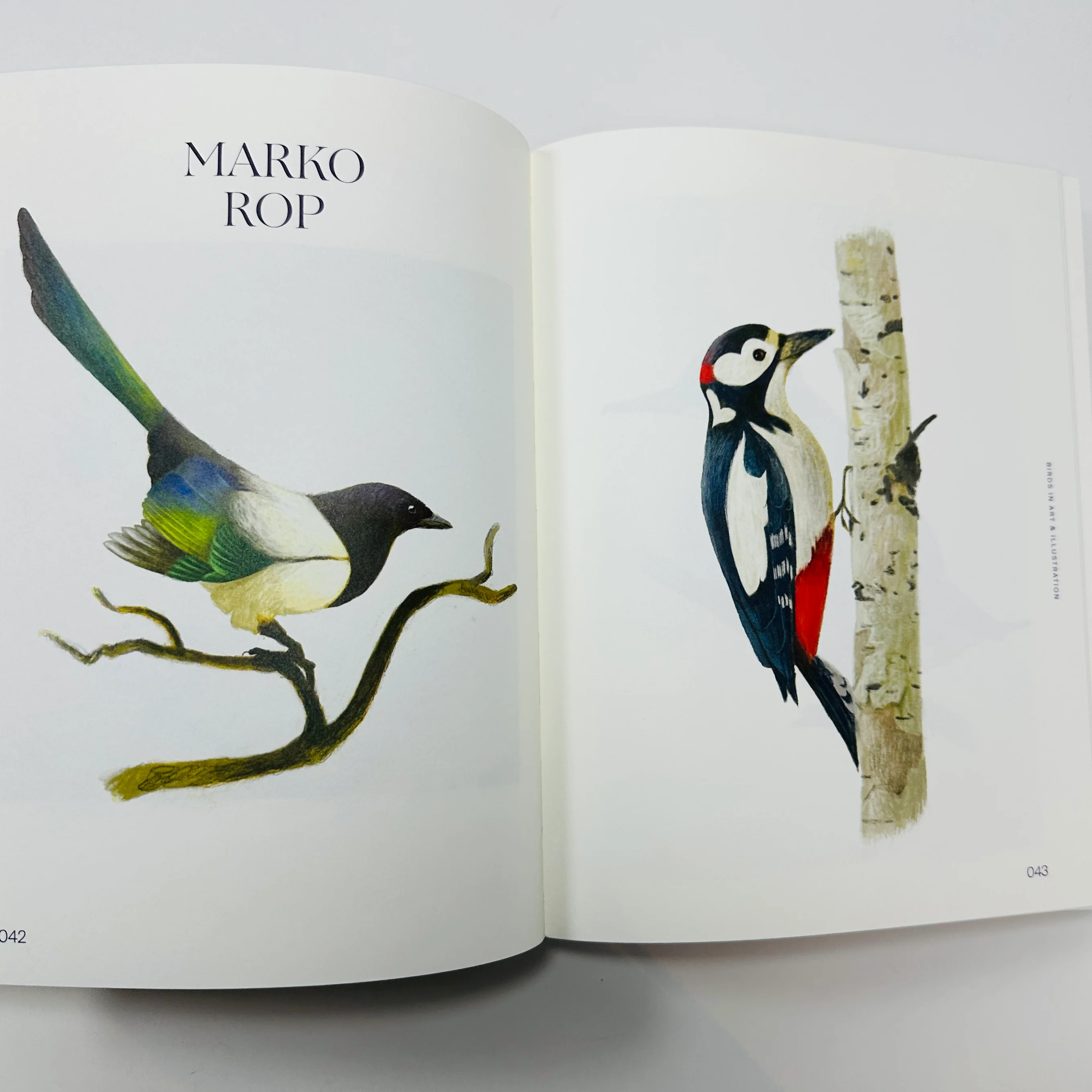 Avian Inspiration - Birds In Art And Illustration - Image 5