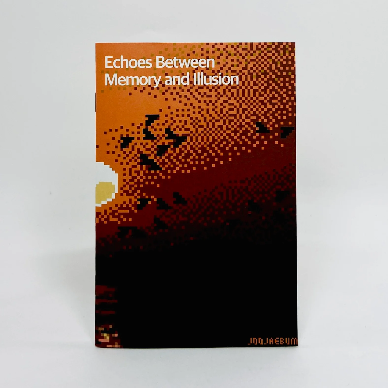 Echoes Between, Memory and Illusion - Anon