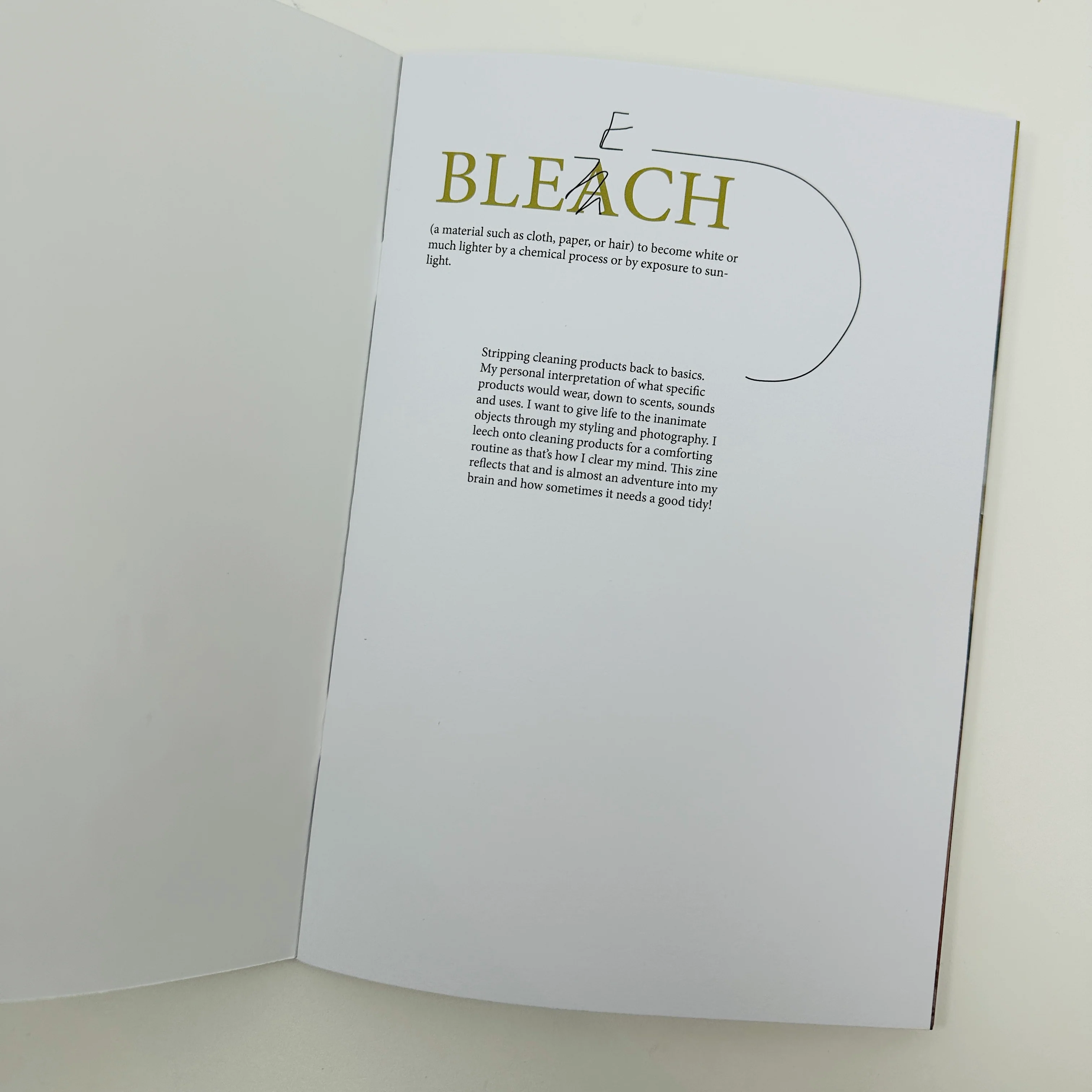 Bleech - Lily Ryan - Image 5