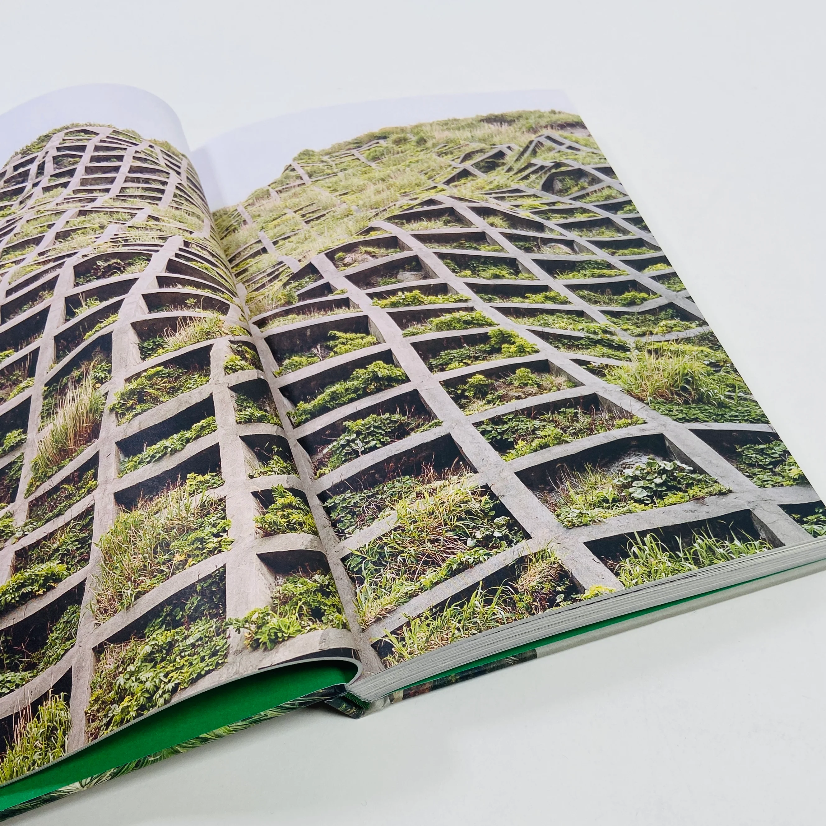 Brutalist Plants - Image 3
