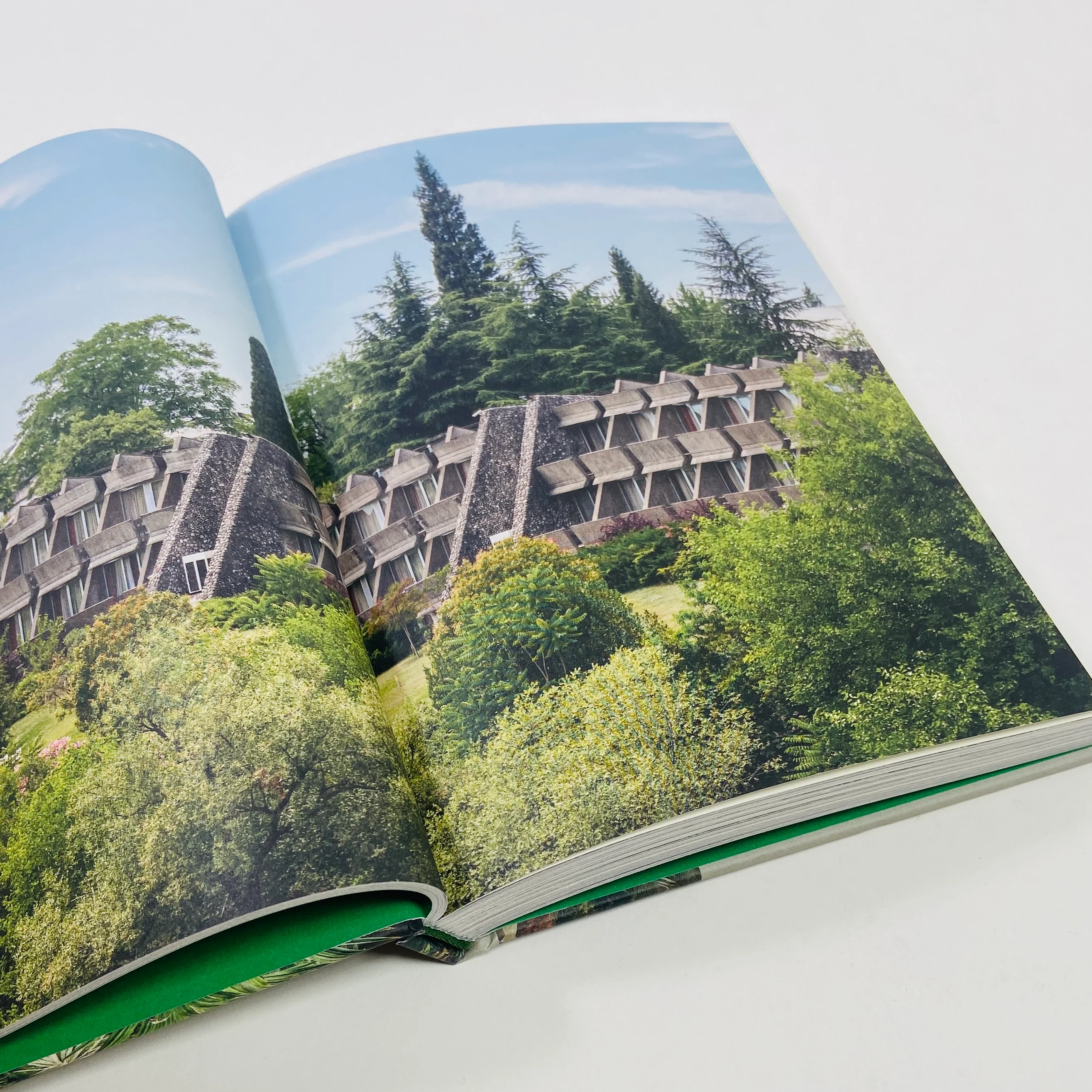 Brutalist Plants - Image 4