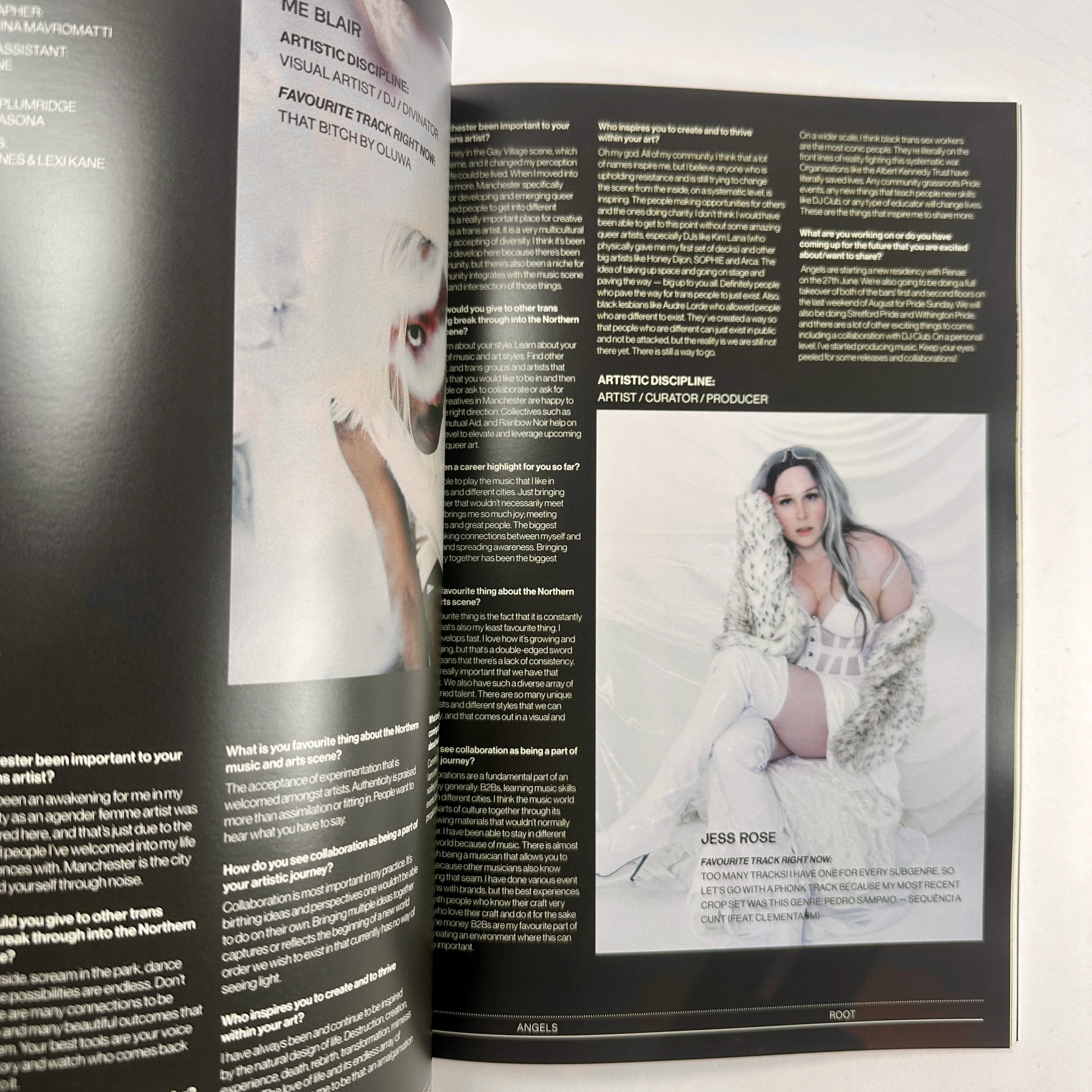 Crop #2 - Image 4