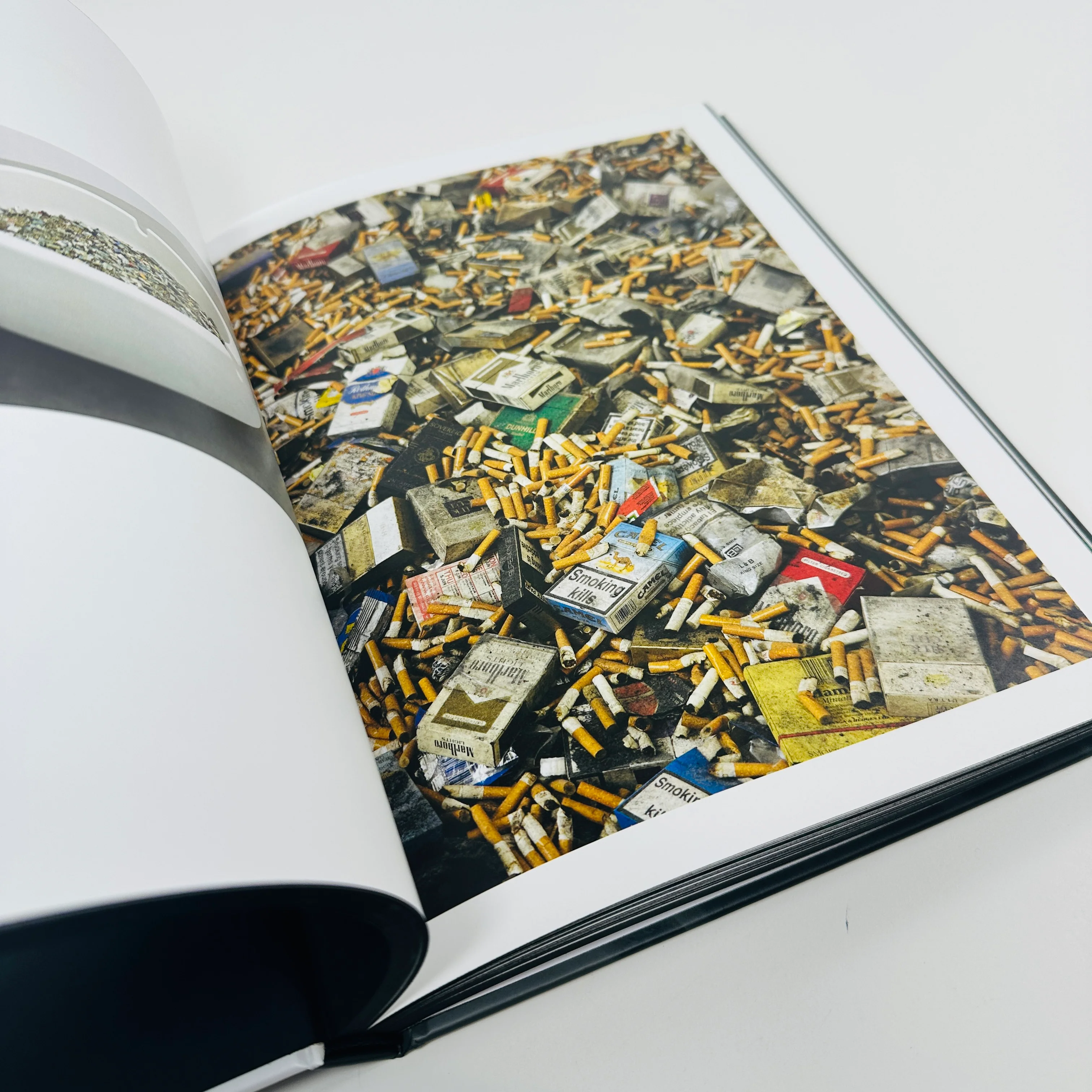 Damien Hirst - To Live Forever (For a While) - Image 3