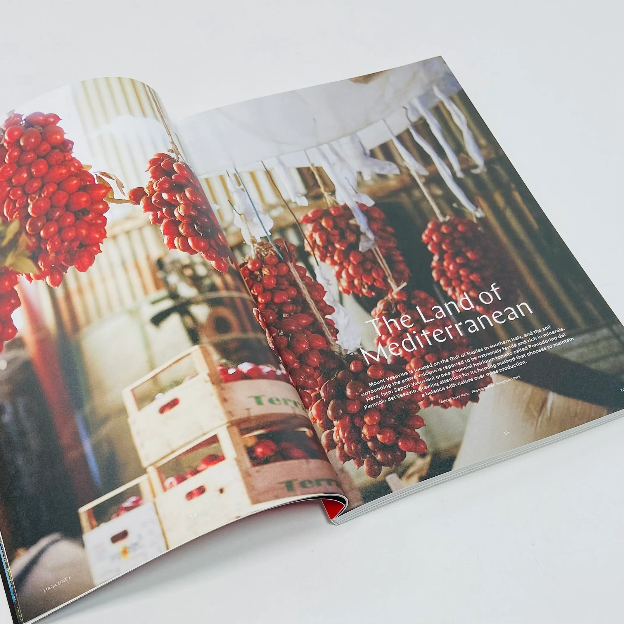 F Magazine #4 - Tomato - Image 4