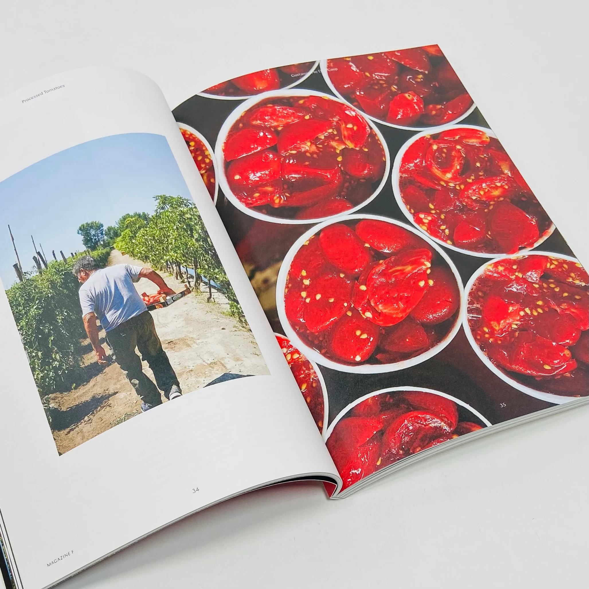 F Magazine #4 - Tomato - Image 5