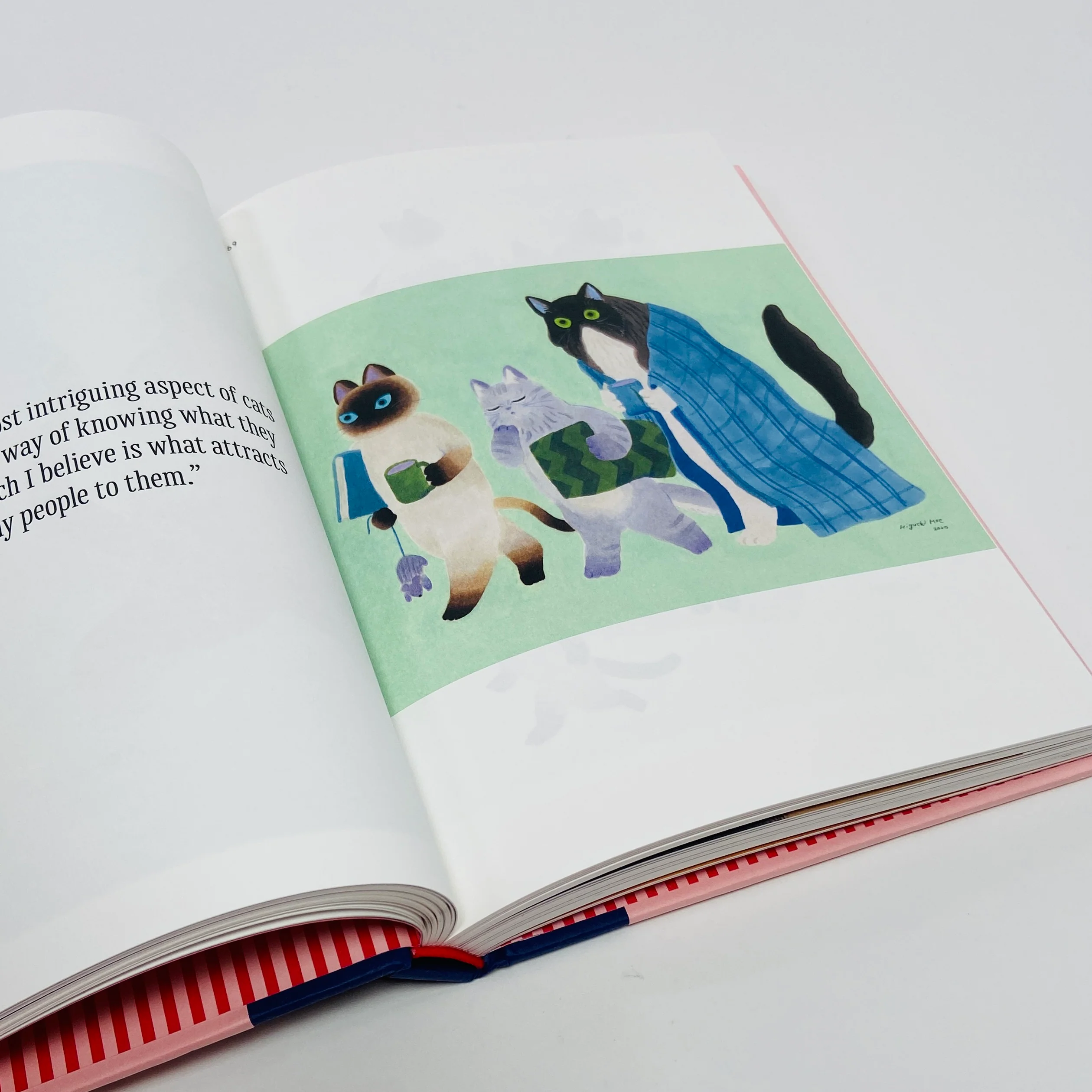 Felinity - An Anthology of Cat Illustrations from Around the World - Image 9