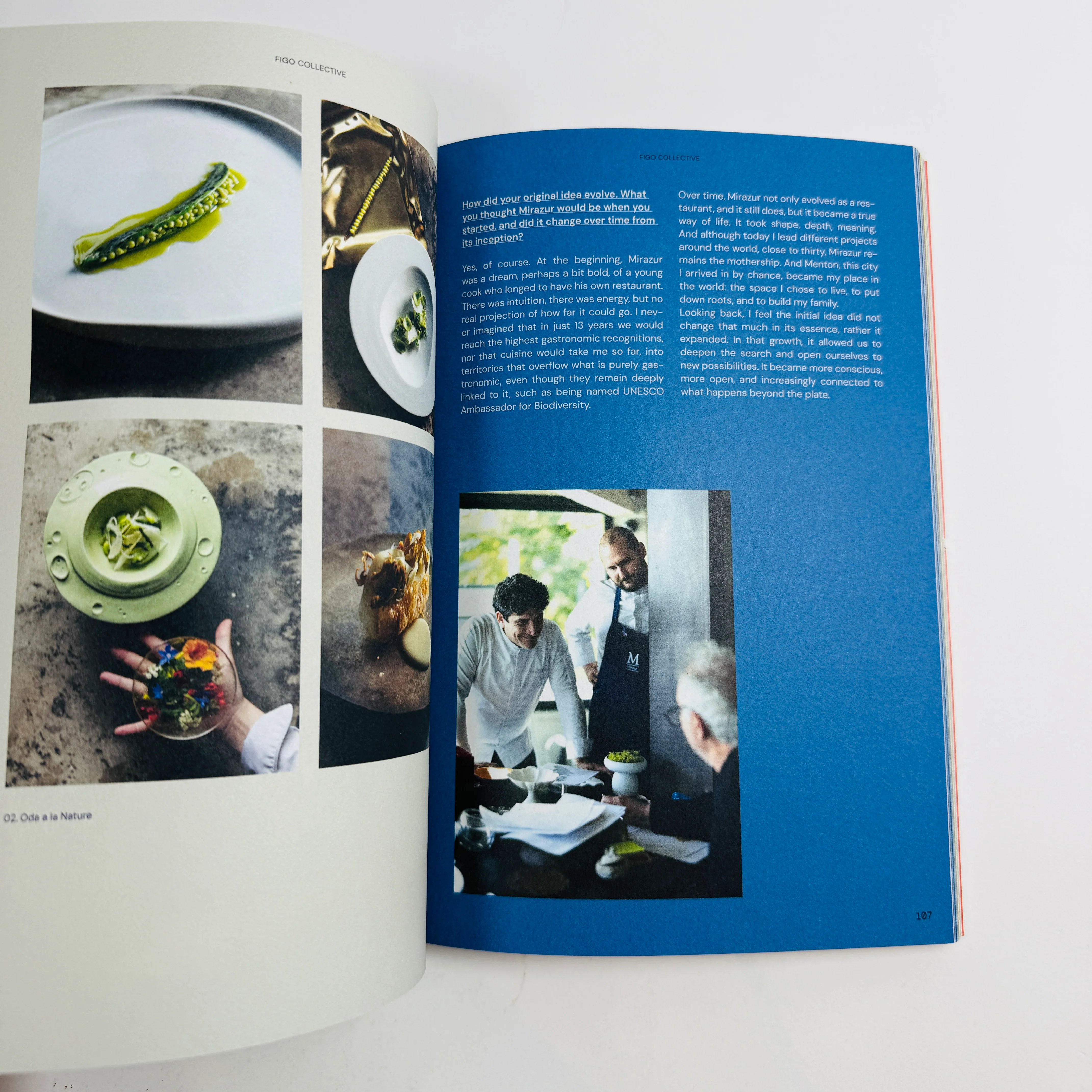 Figo Collective #5 - Image 5