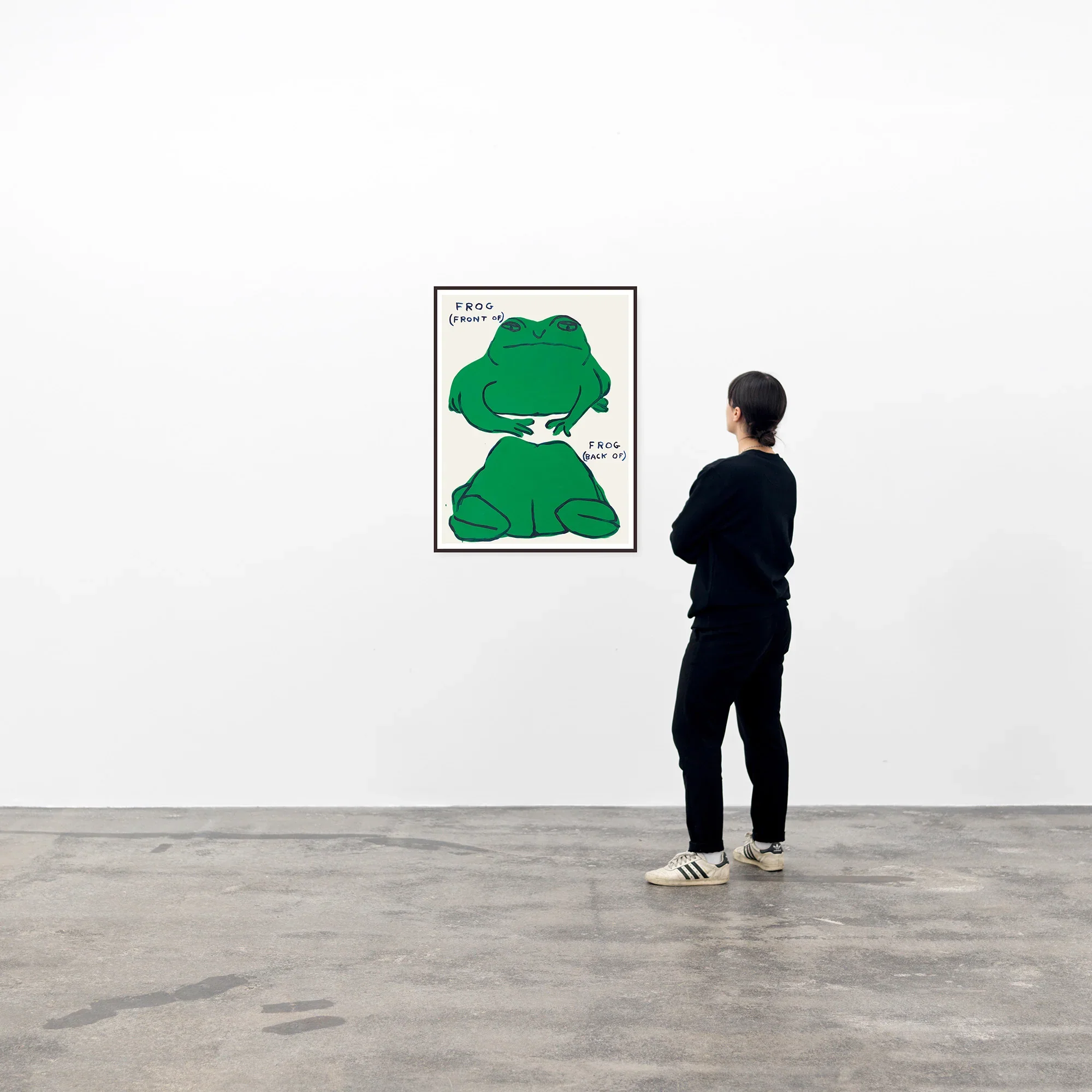 Frog (Front Of), Frog (Back Of) - David Shrigley Poster - Image 3
