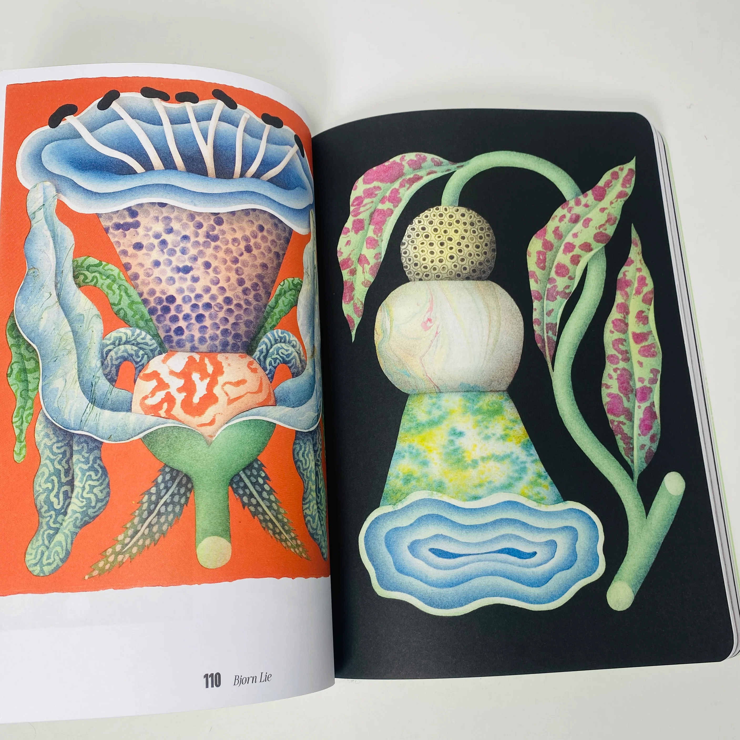 FUKT #22 - The Nature Issue - Image 3