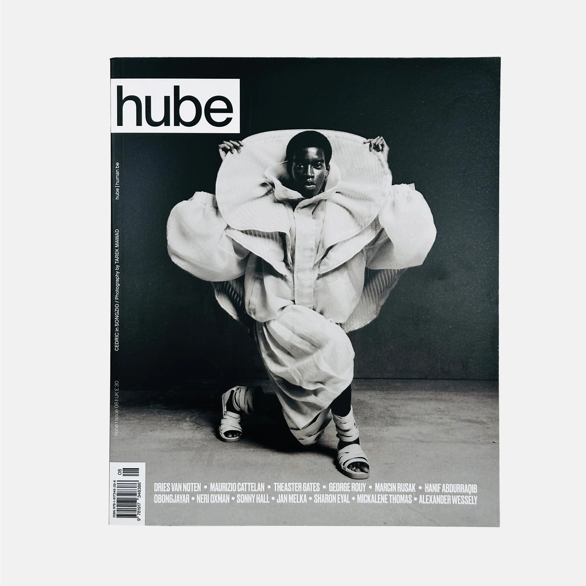 Hube #8 - Image 2