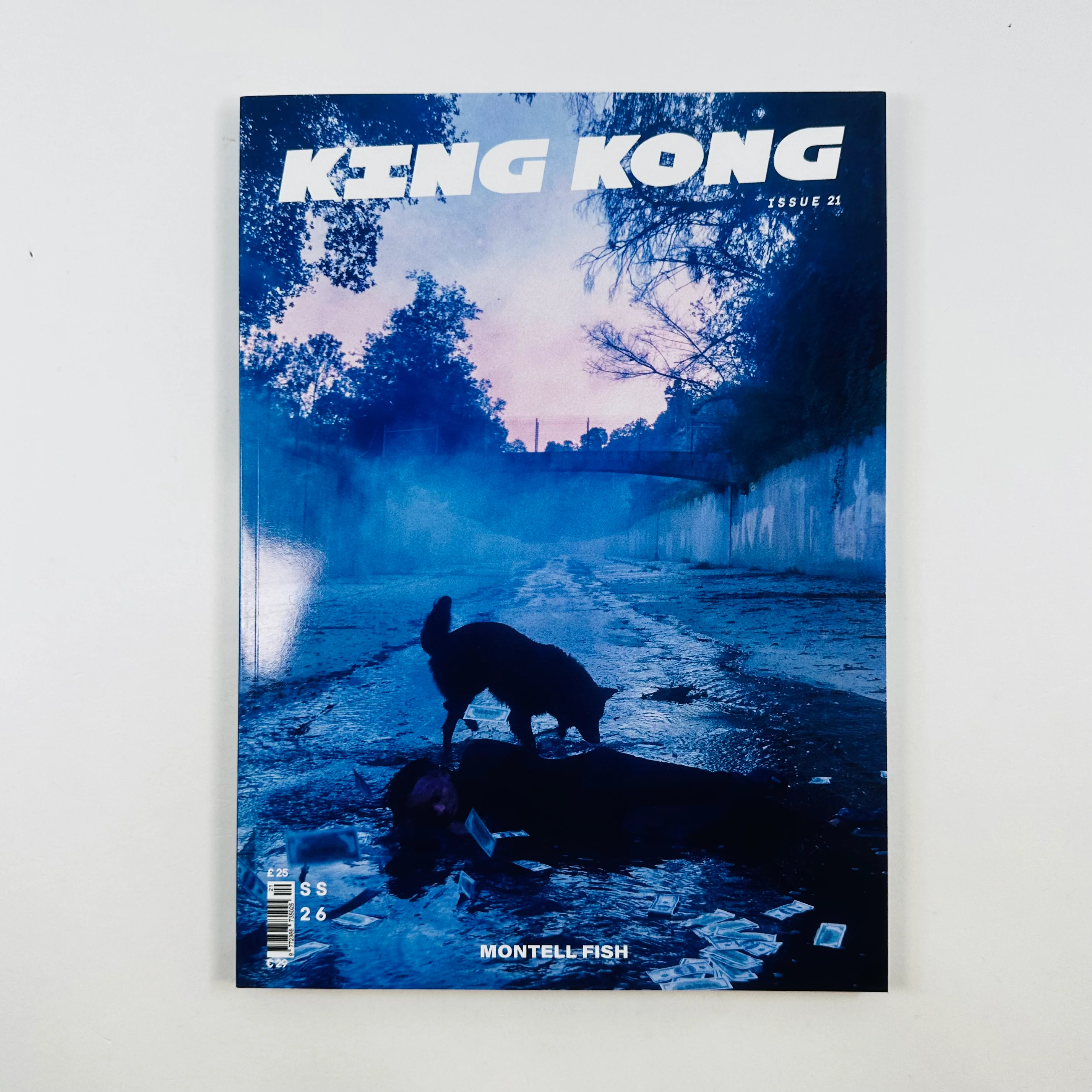 King Kong #21 - Spring/Summer 2026 - Image 6