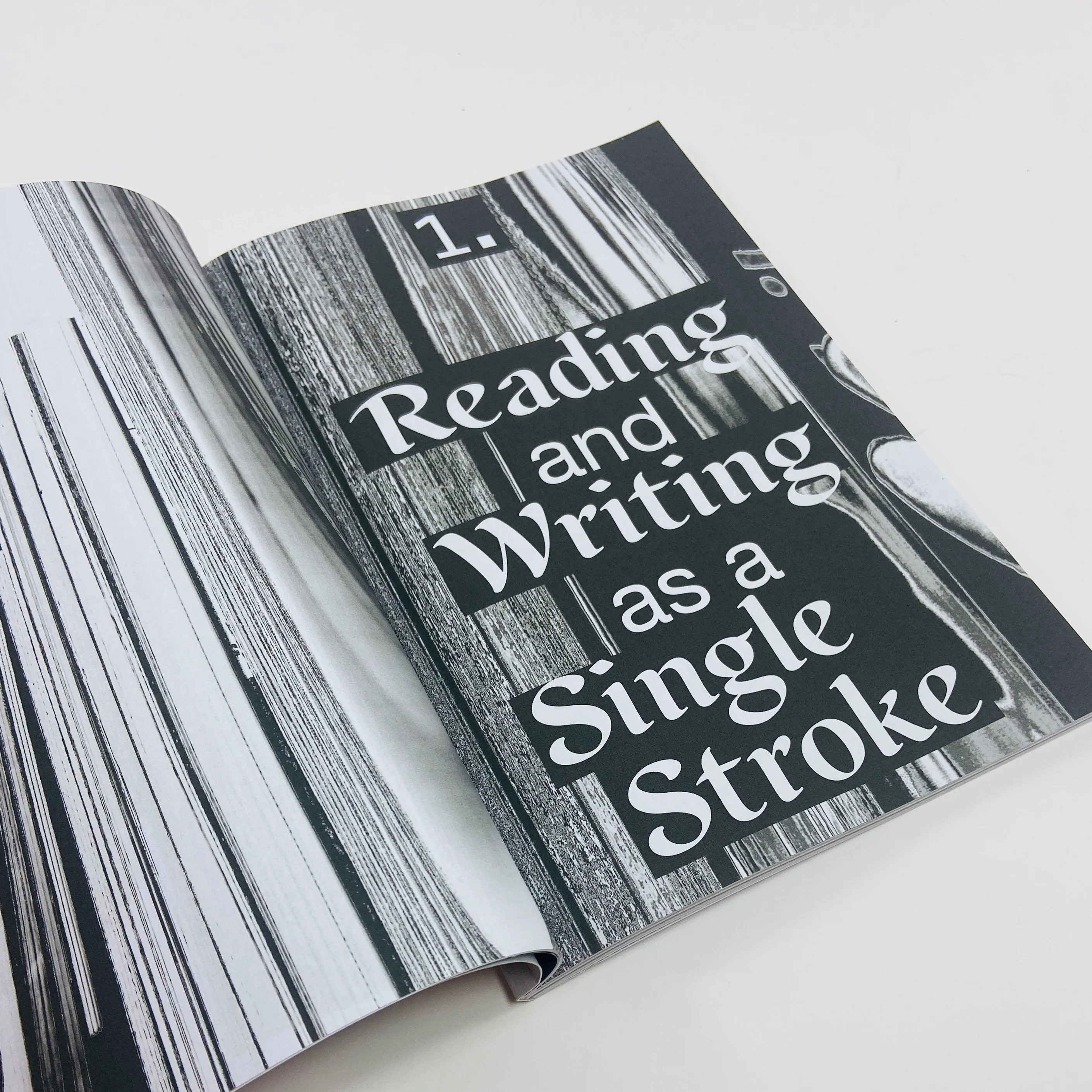 Masturbatory Reader #1 - Reprint Edition - Image 3
