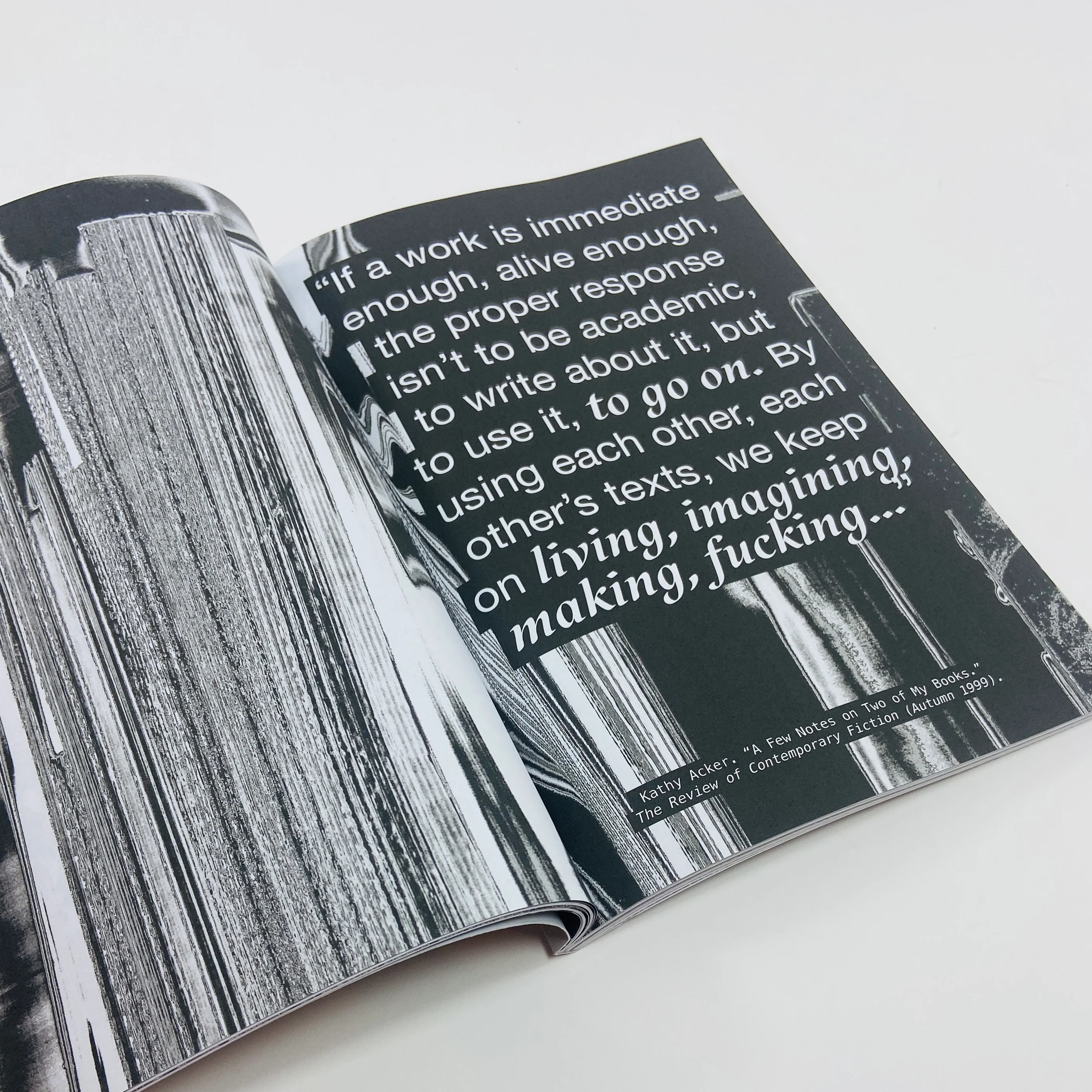 Masturbatory Reader #1 - Reprint Edition - Image 5