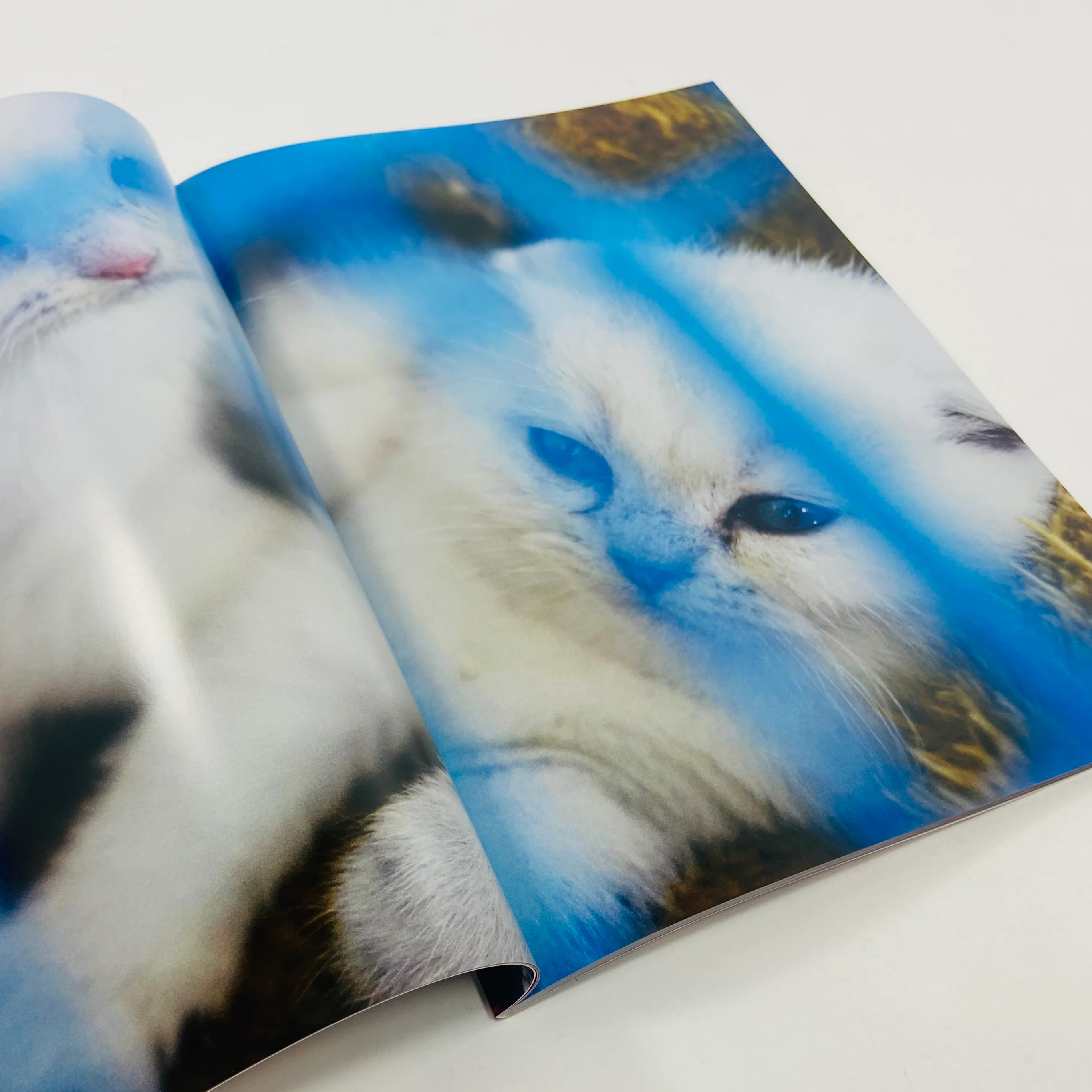 Mika Ninagawa – Eternity in a Moment #1 - Image 5