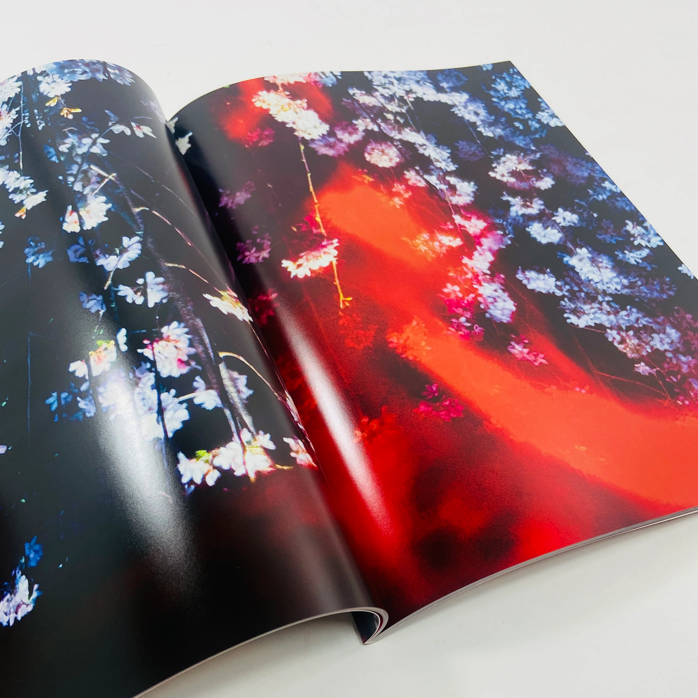 Mika Ninagawa – Eternity in a Moment #1 - Image 7