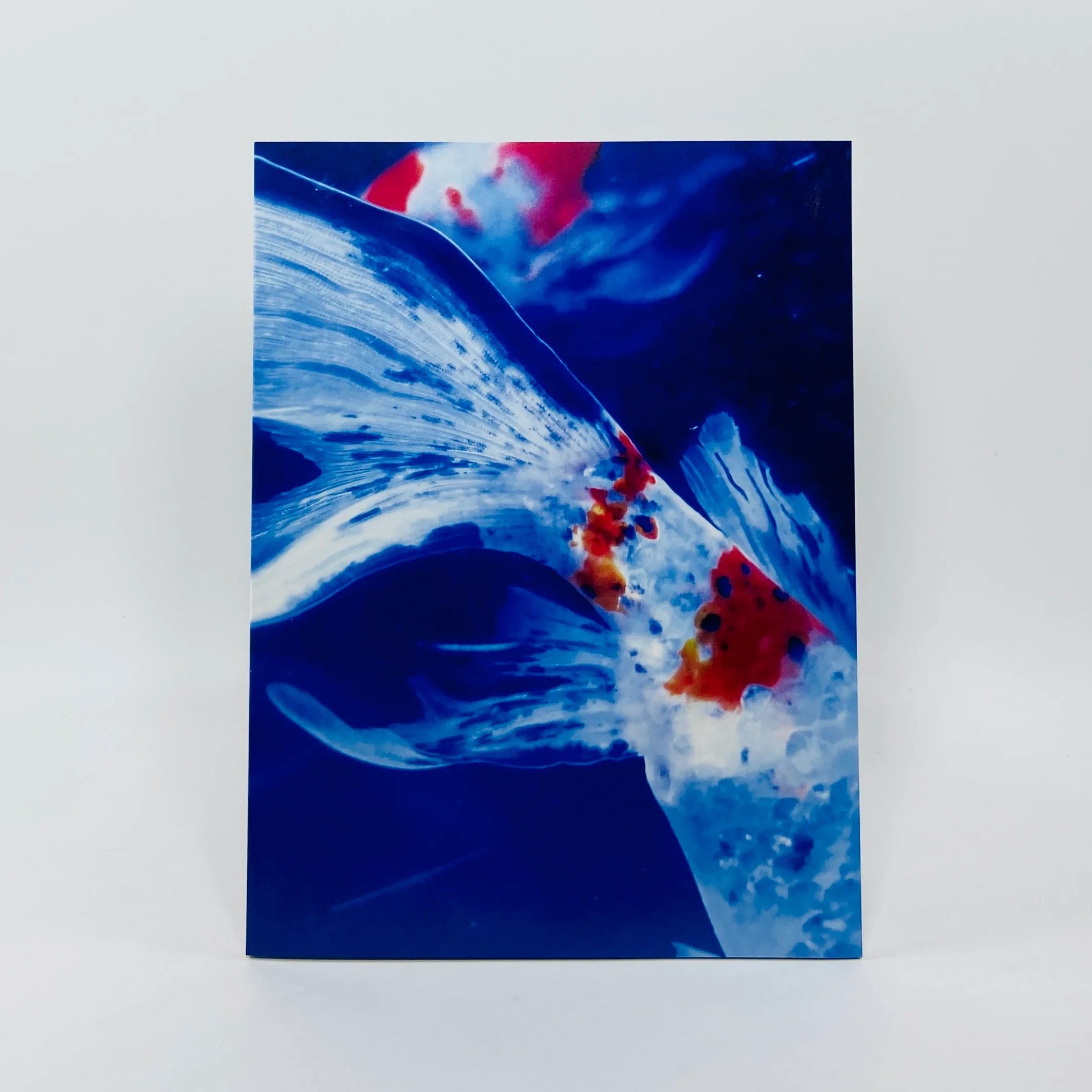 Mika Ninagawa – Eternity in a Moment #3