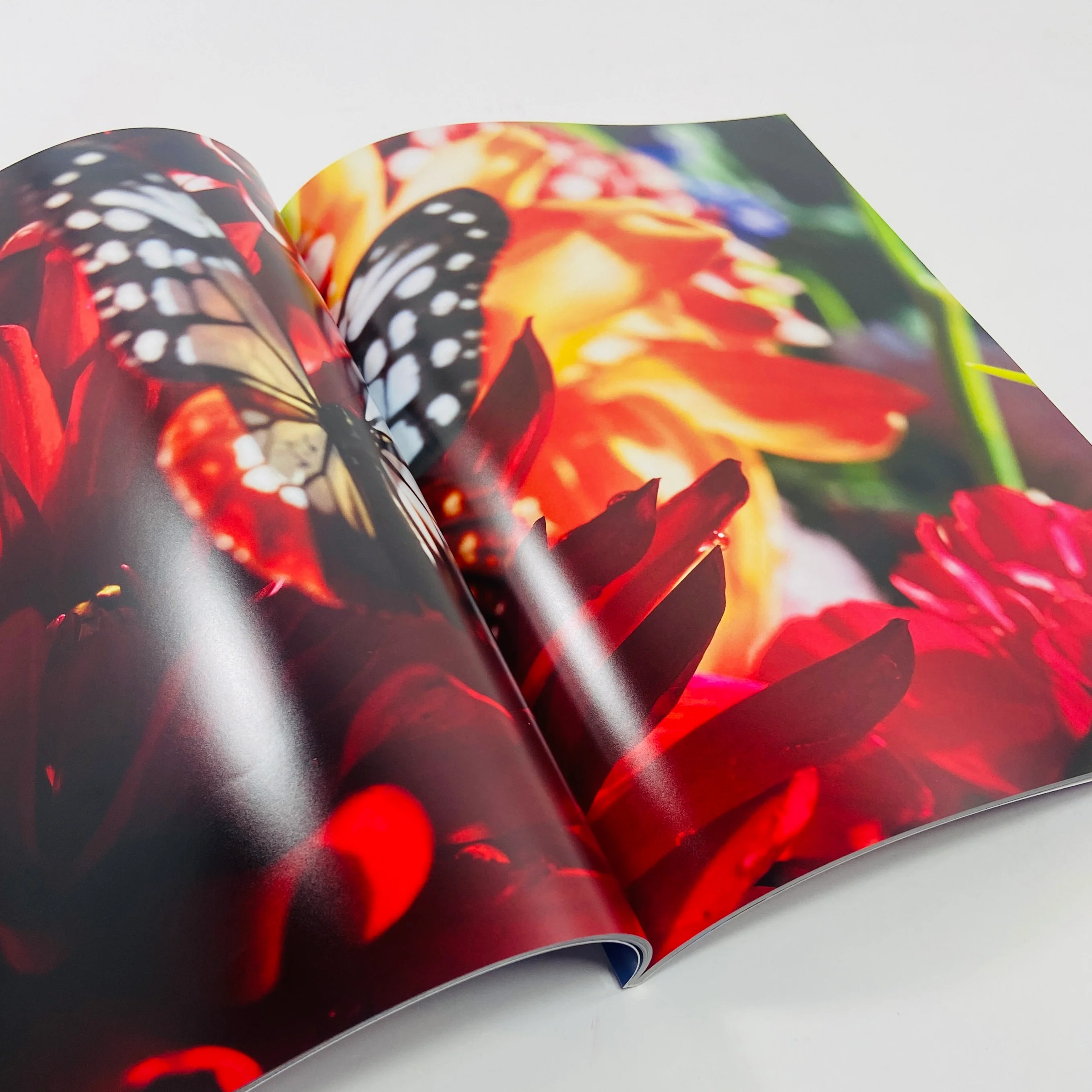 Mika Ninagawa – Eternity in a Moment #3 - Image 6