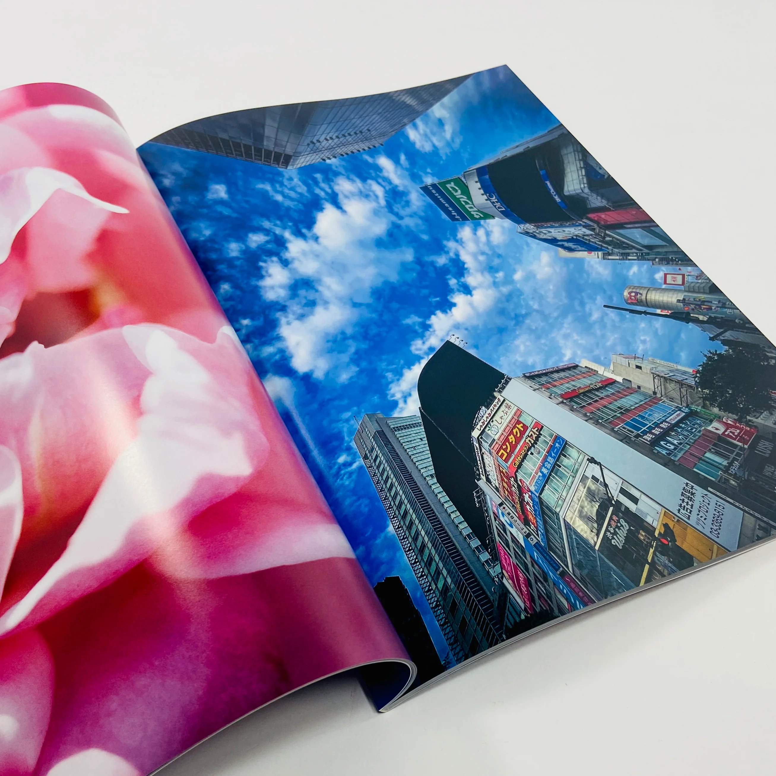 Mika Ninagawa – Eternity in a Moment #3 - Image 7