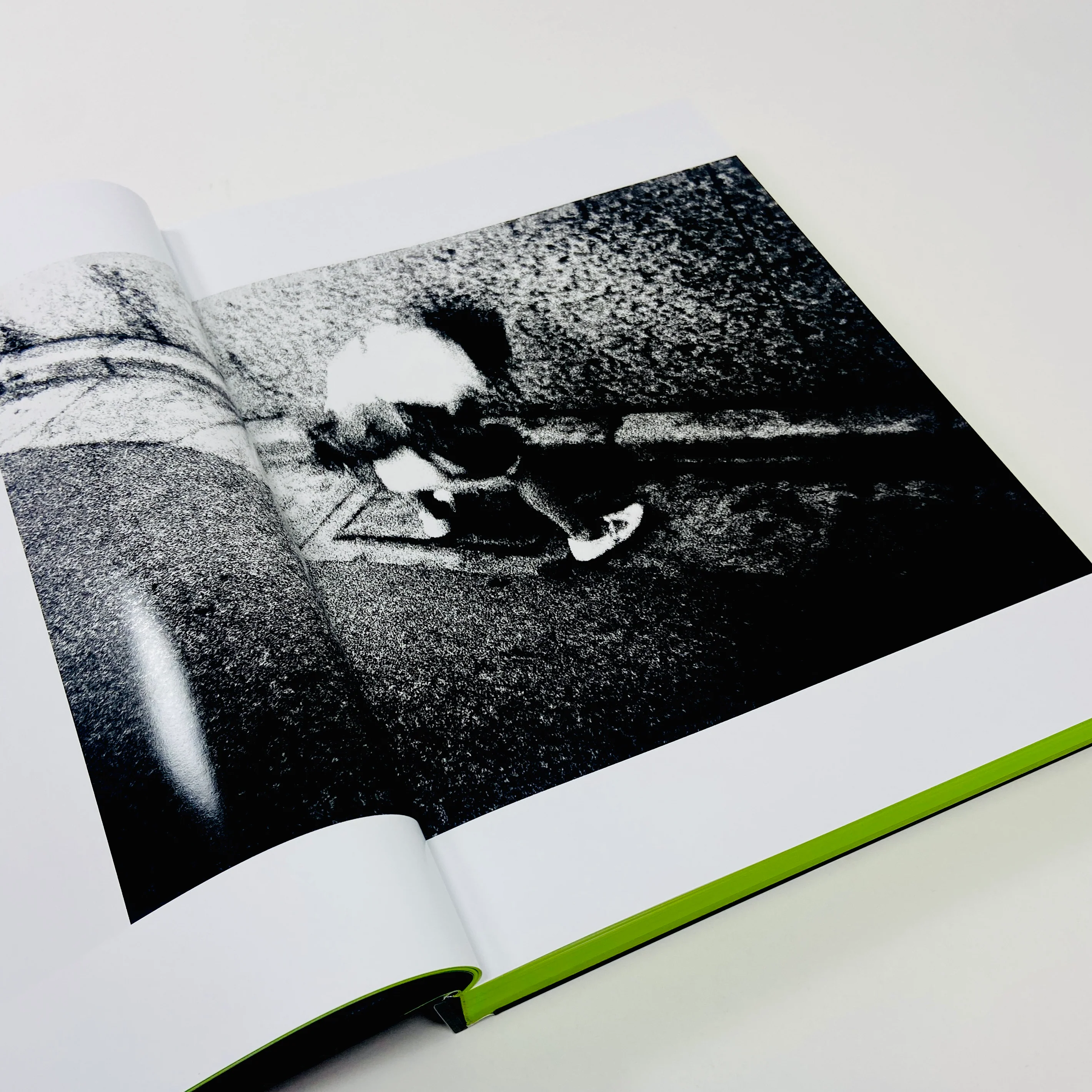 Moriyama - Quartet - Image 10