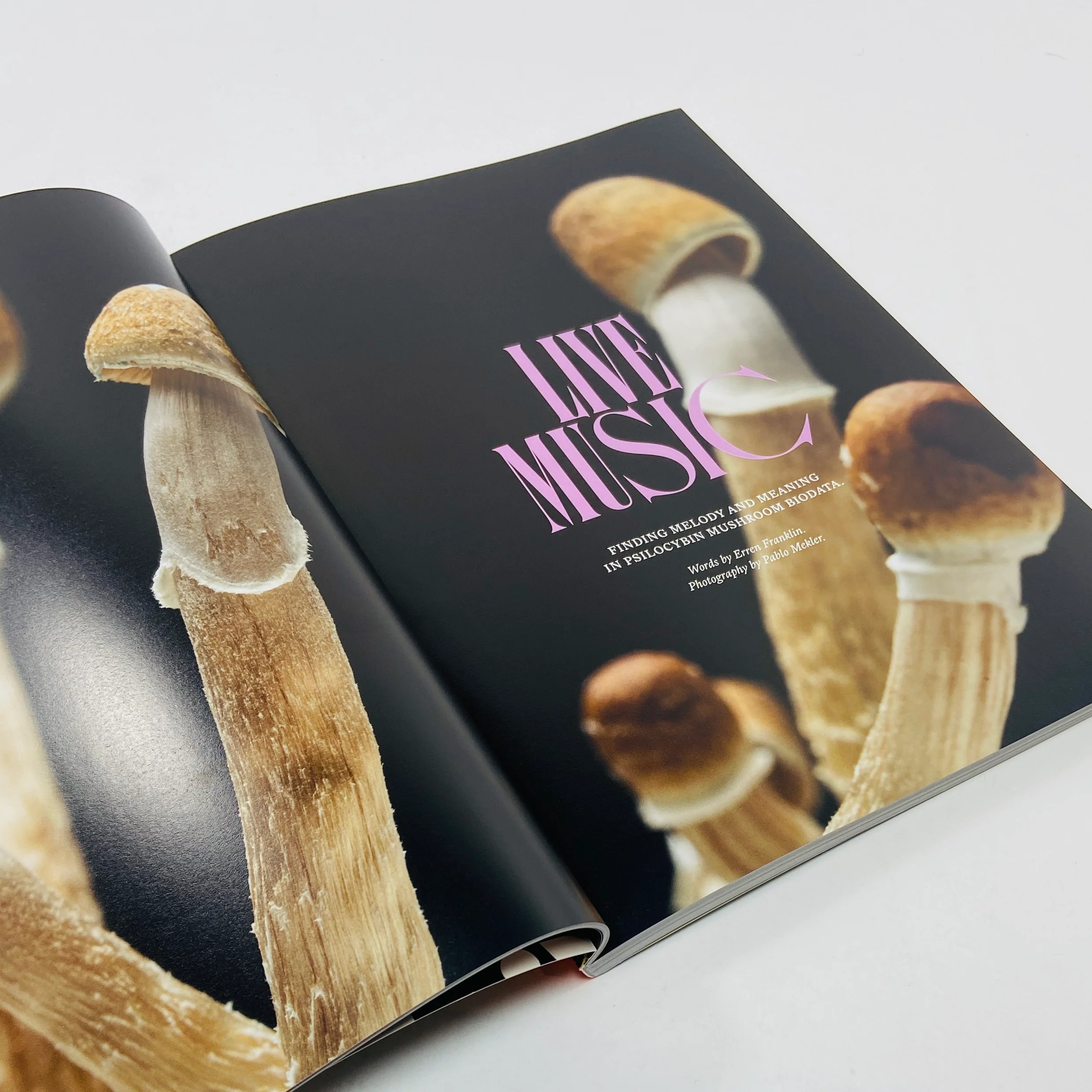 Mushroom People #2 - Image 4