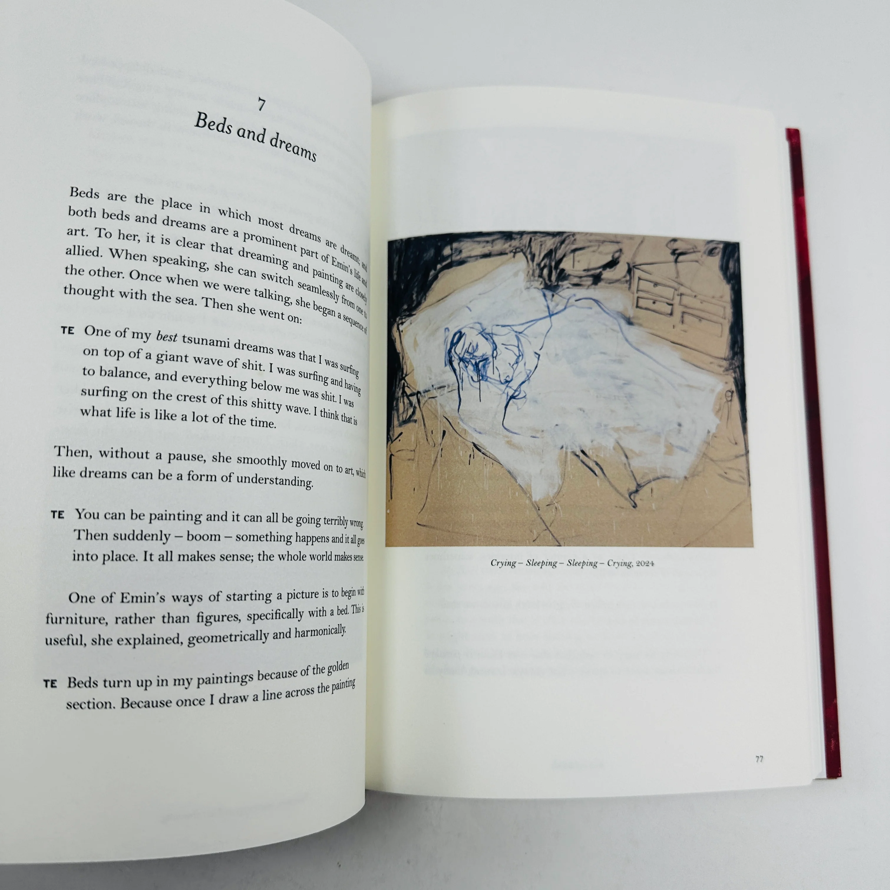 My Heart is This - Tracey Emin on Painting - Image 4