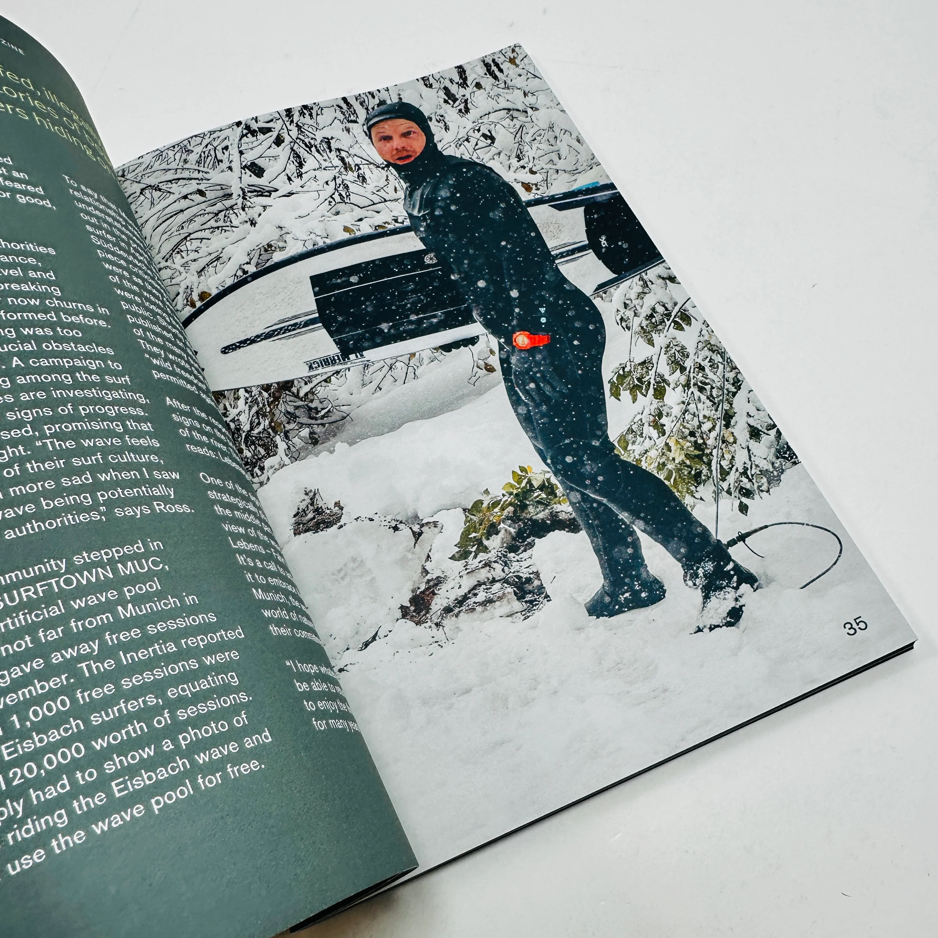 Nature Zine #3 - Swimmable Cities - Image 6