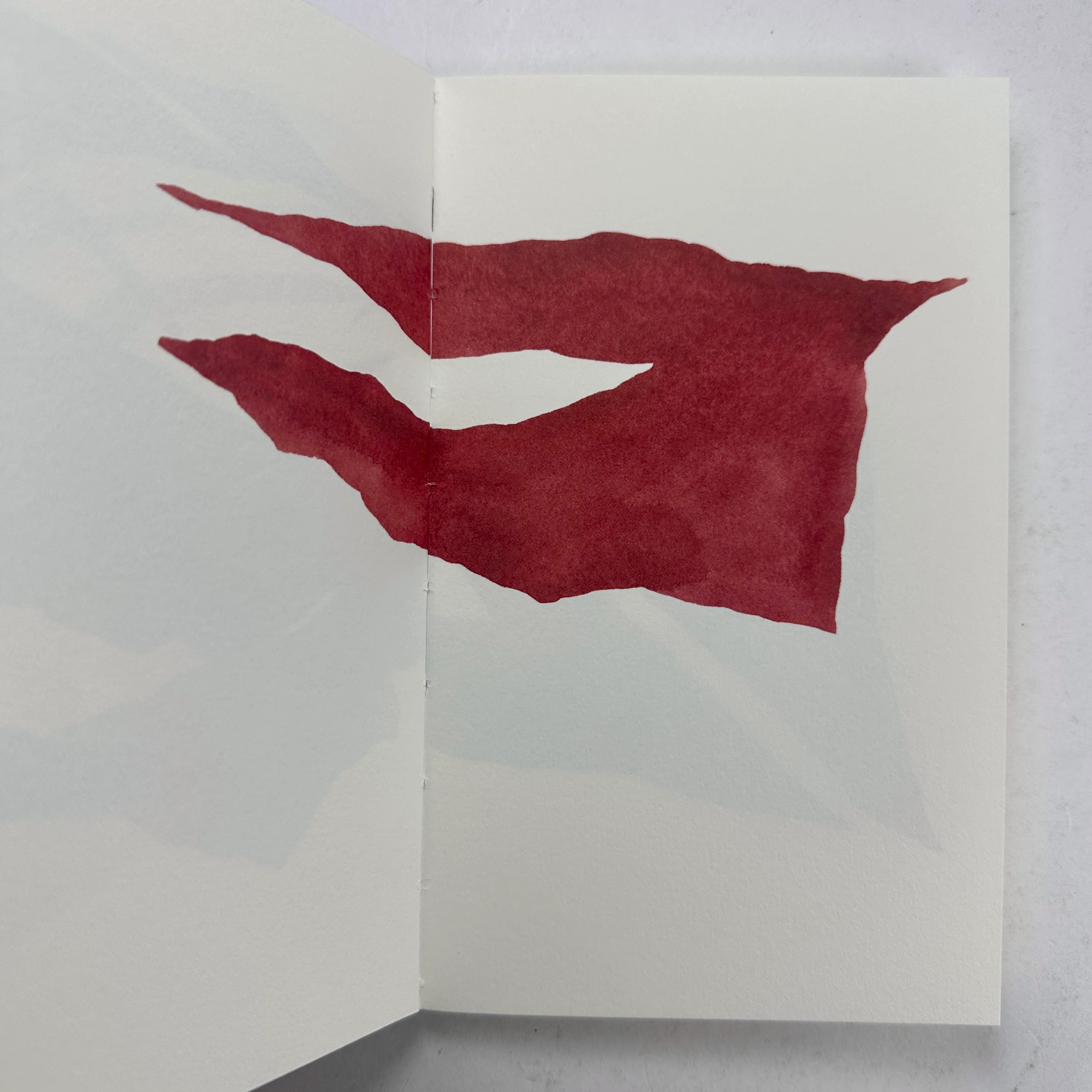 As If It Is - Nigel Peake - Image 4