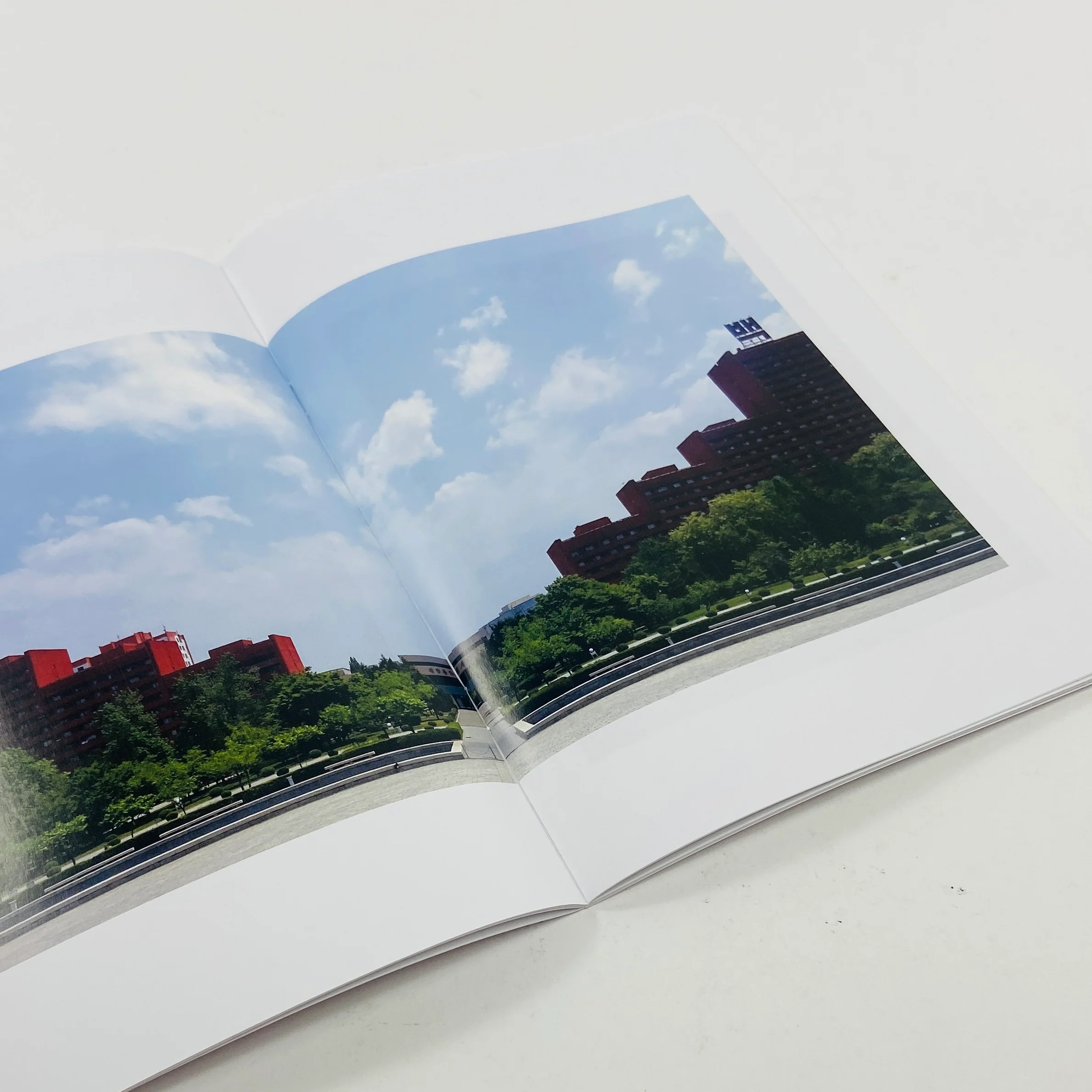One View - North Korea - Kasim Deen - Image 5