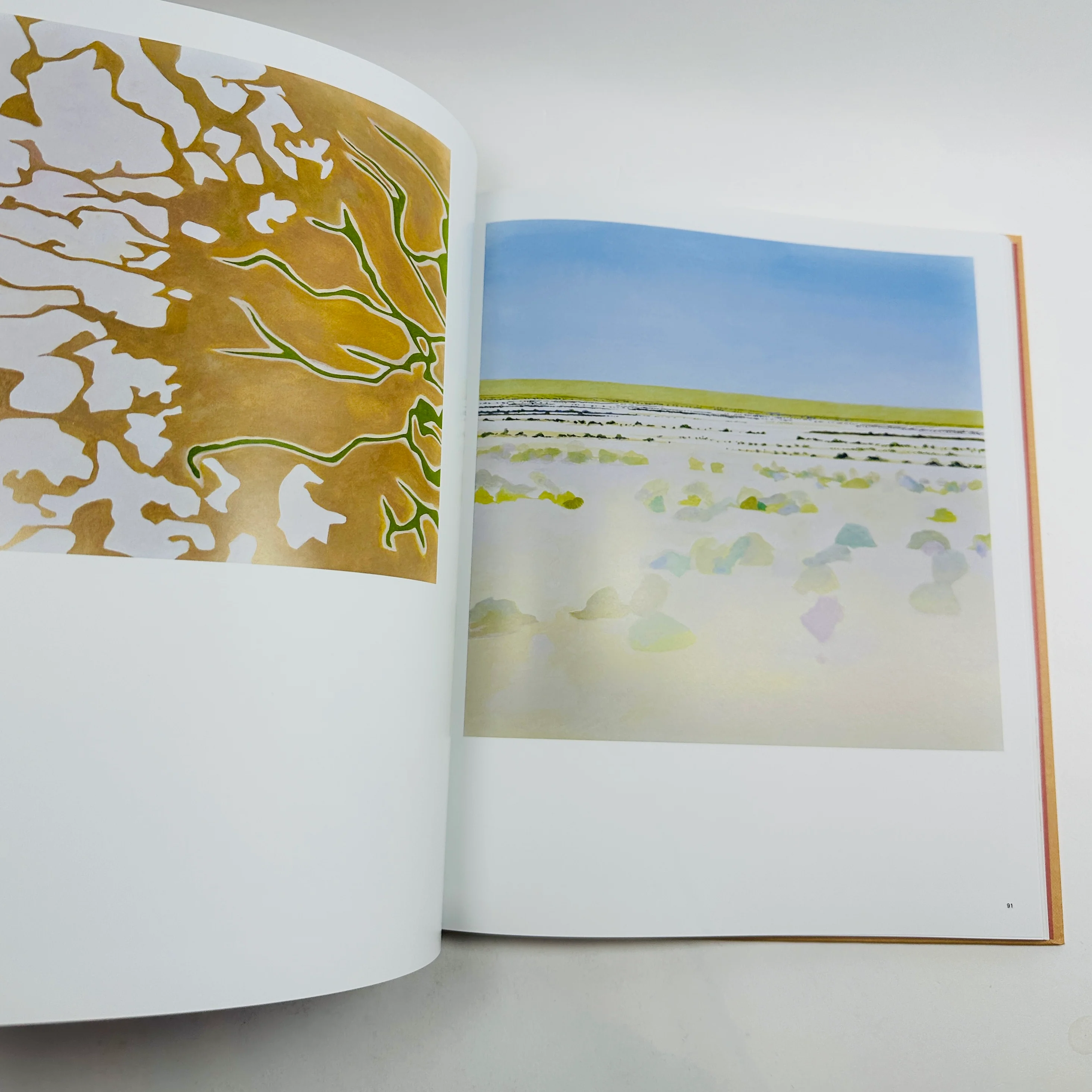 Painting the Ancient Land of Australia - Philip Hughes - Image 5