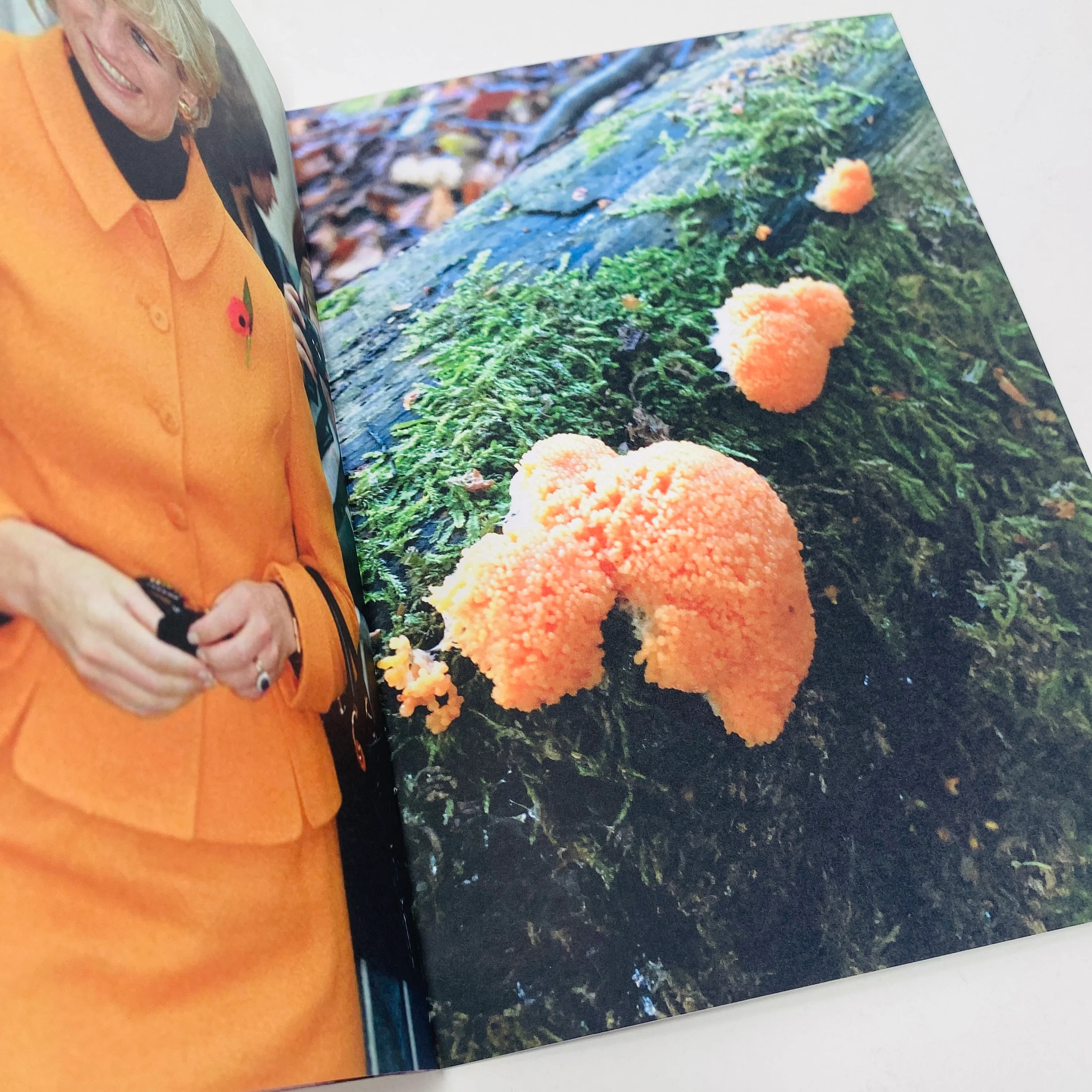 Princess Diana as Mushrooms #1 - Image 3