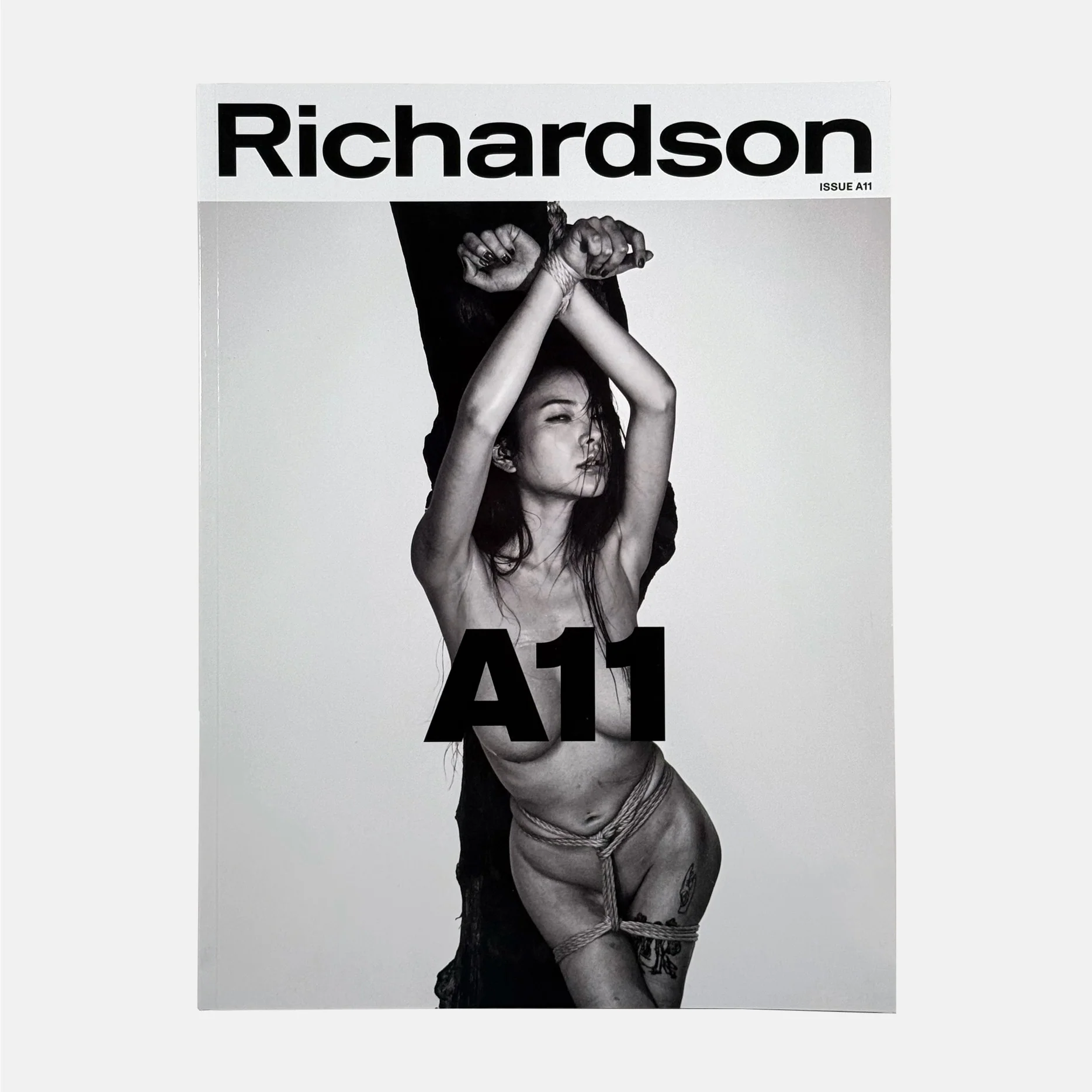 Richardson A11 - The Agency Issue