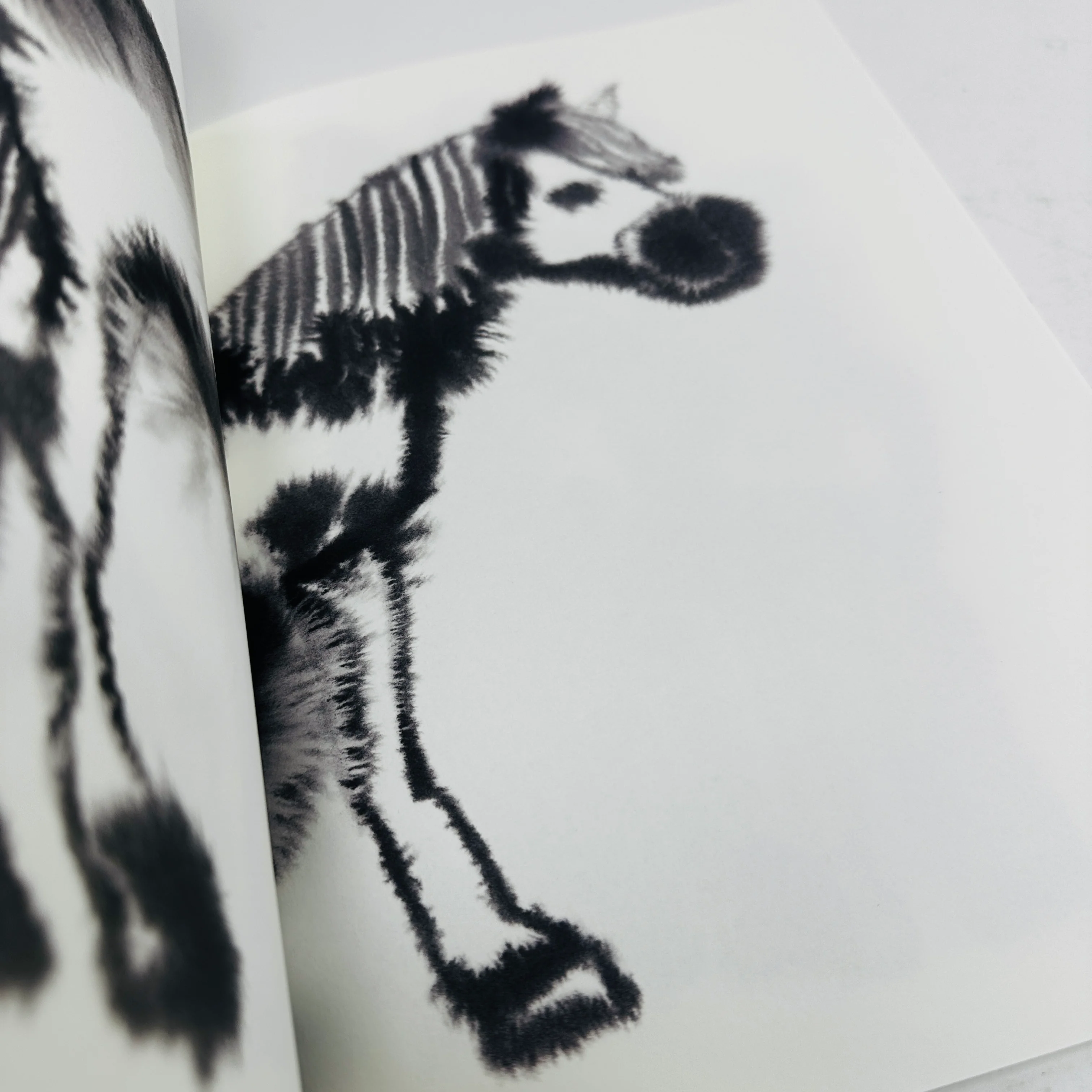 Rop Van Mierlo Colouring Book - Image 4