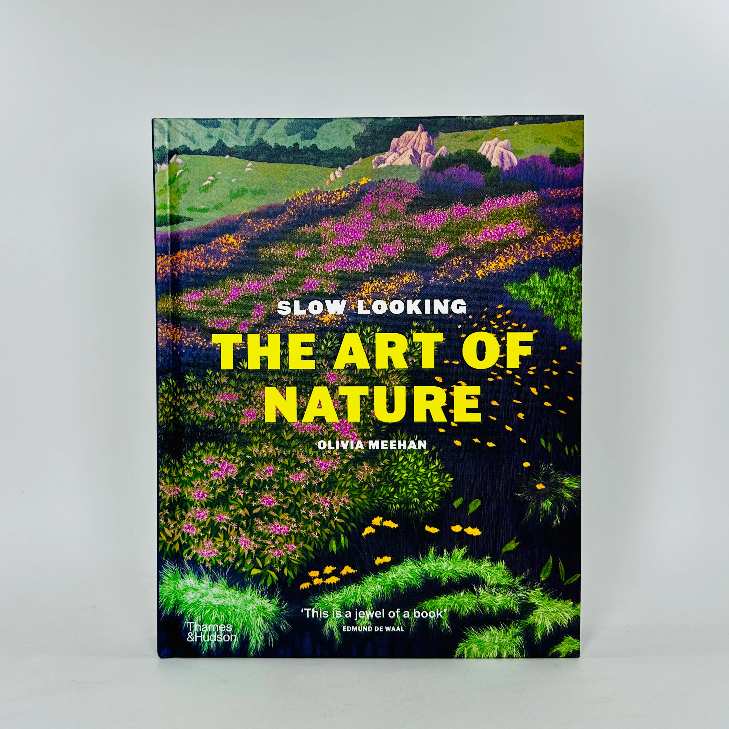 Slow Looking - The Art of Nature