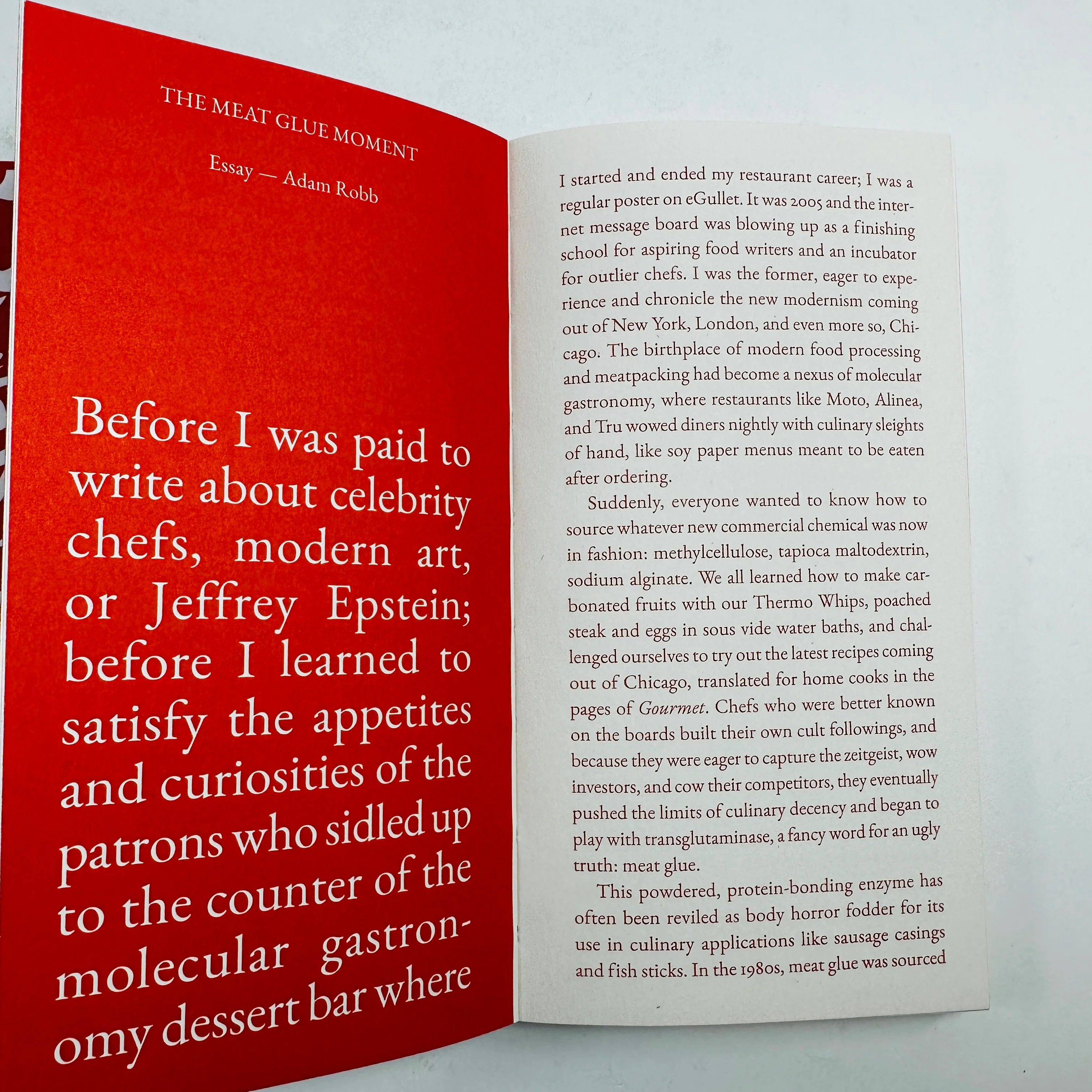 Steak Zine - Image 5