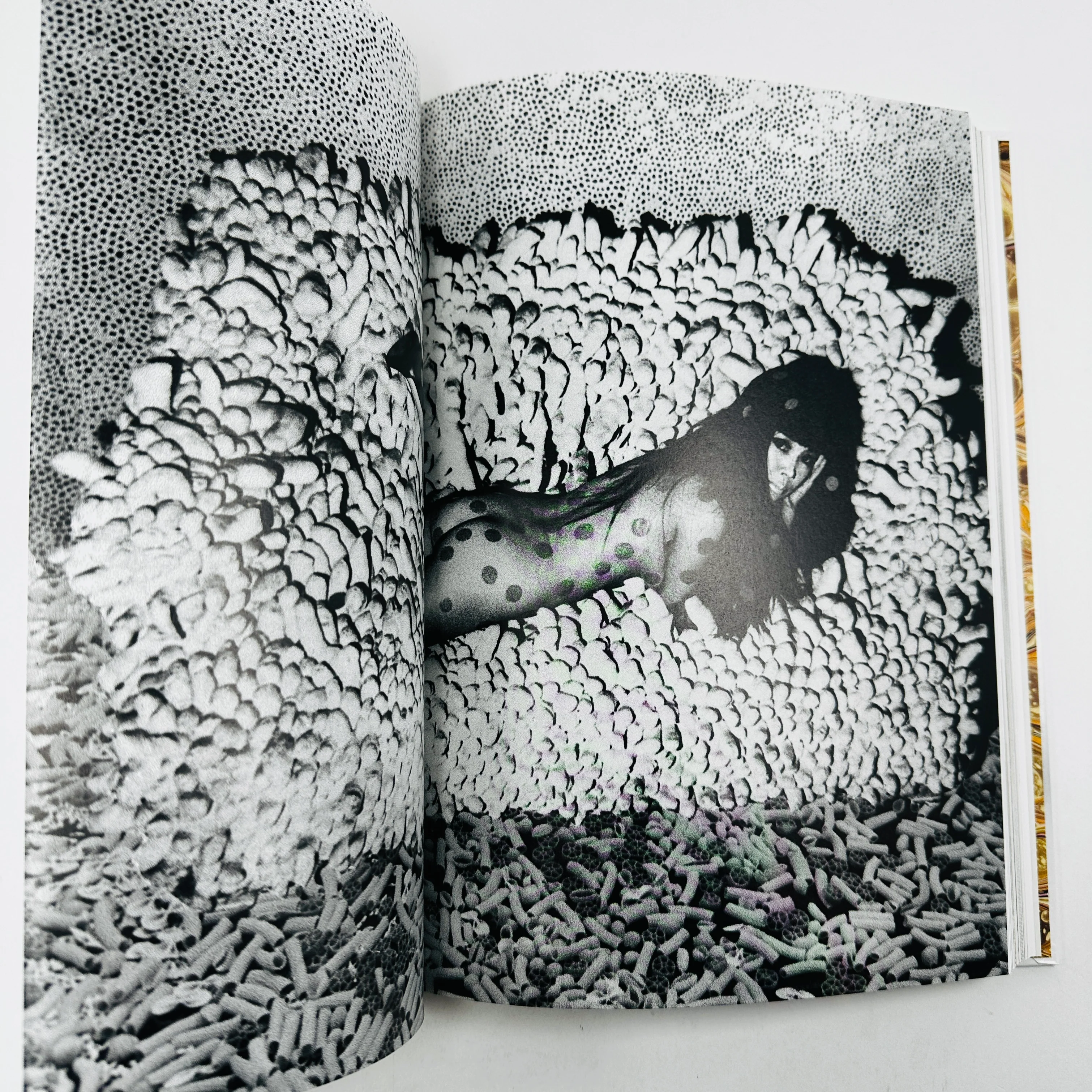 The Gourmand - Mushroom Book - Image 5
