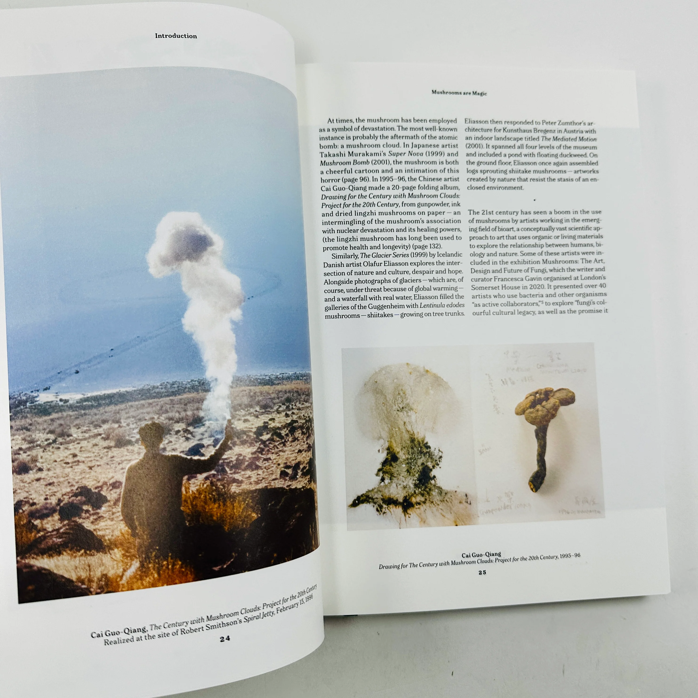 The Gourmand - Mushroom Book - Image 6