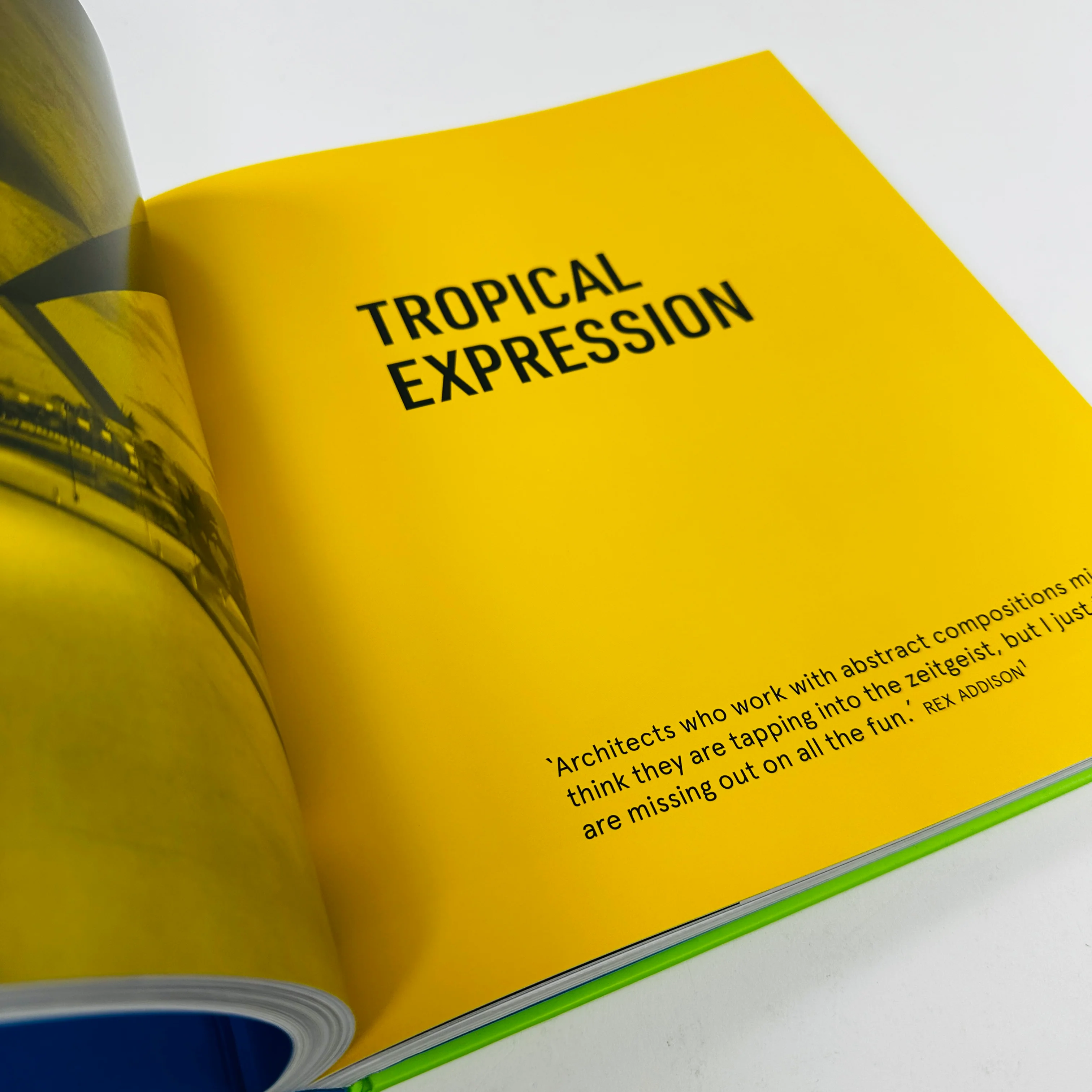 The Iconic Tropical House - Image 4