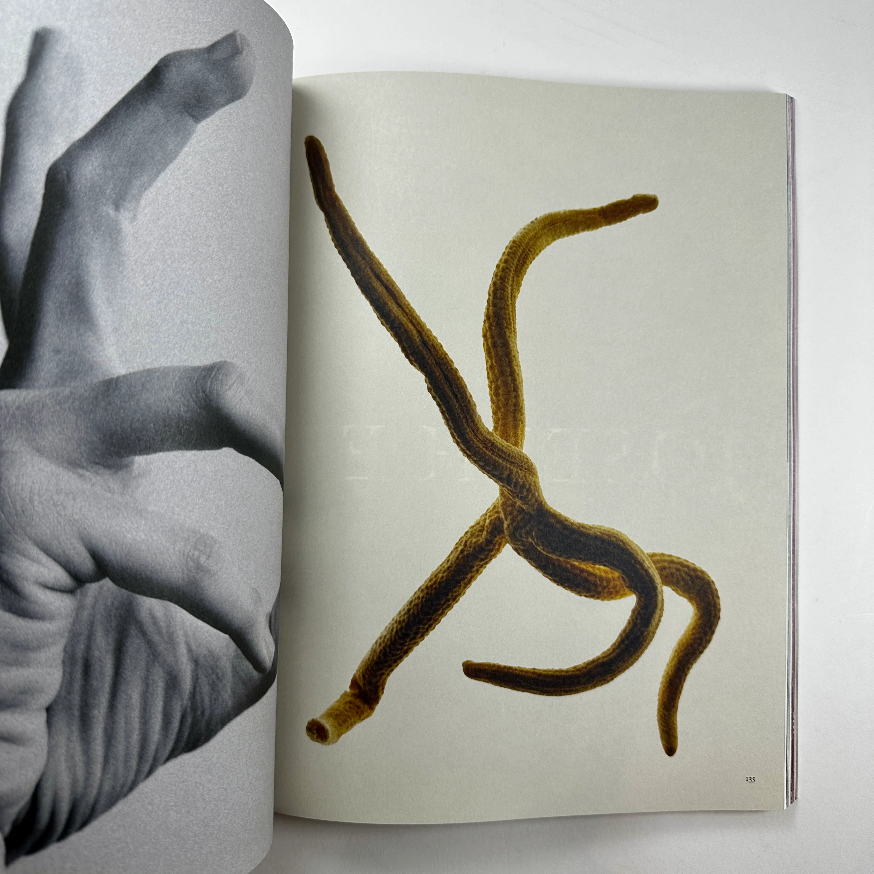 The Plant #25 - Spring/Summer 2026 - Image 10