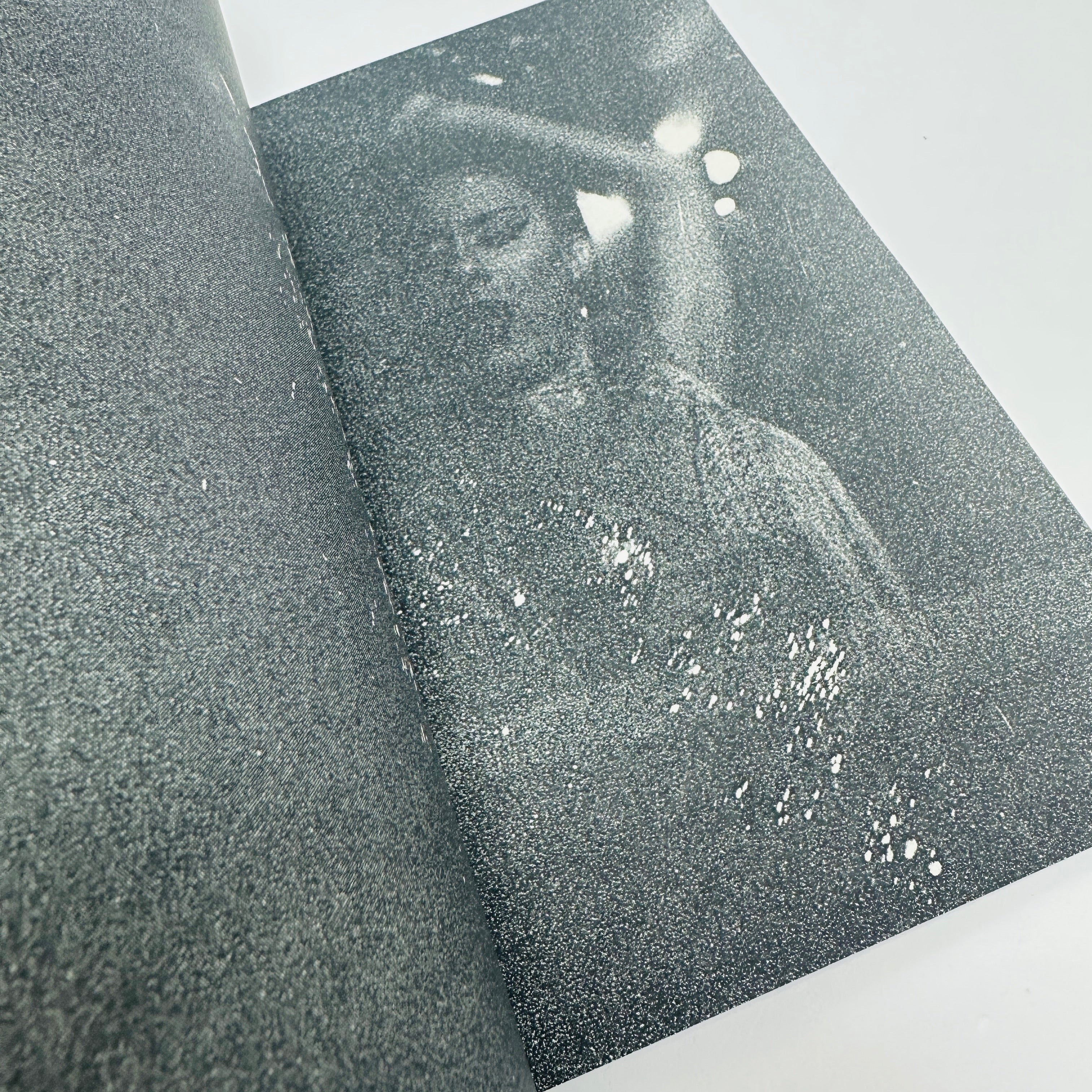 The Queens of Tenerife - Aimé Dabbadie - Image 4