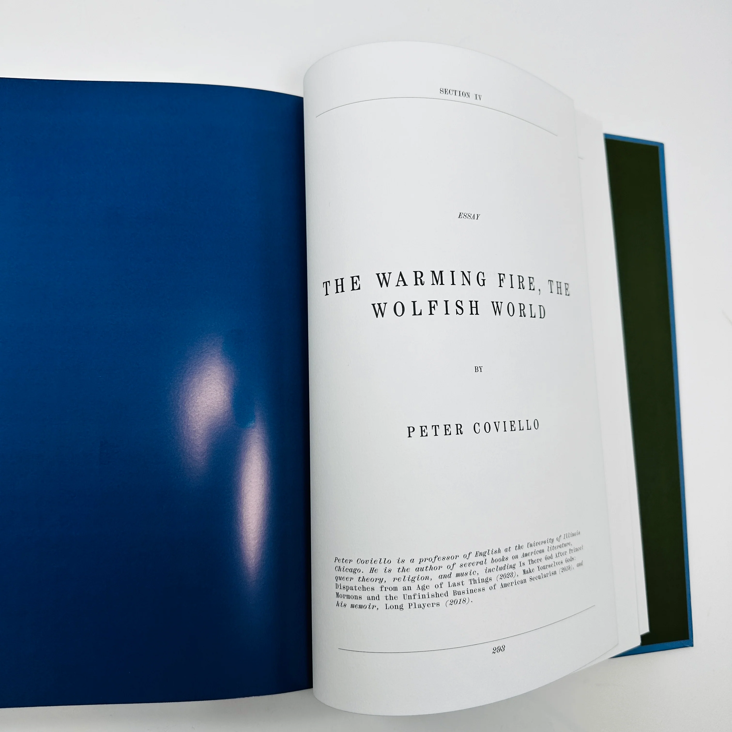 The Whale Screenplay Book - Image 3