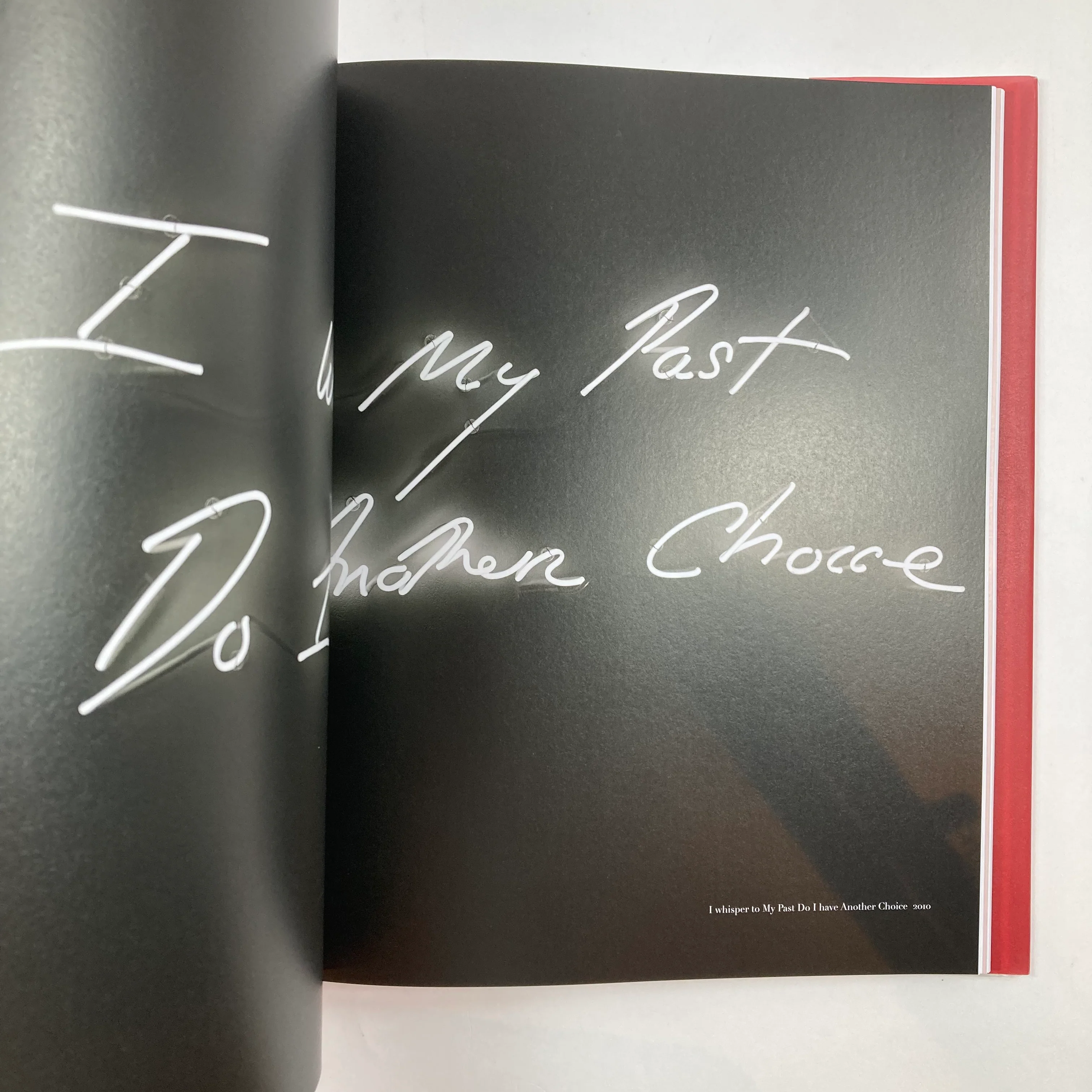 Tracey Emin - A Second Life - Image 3