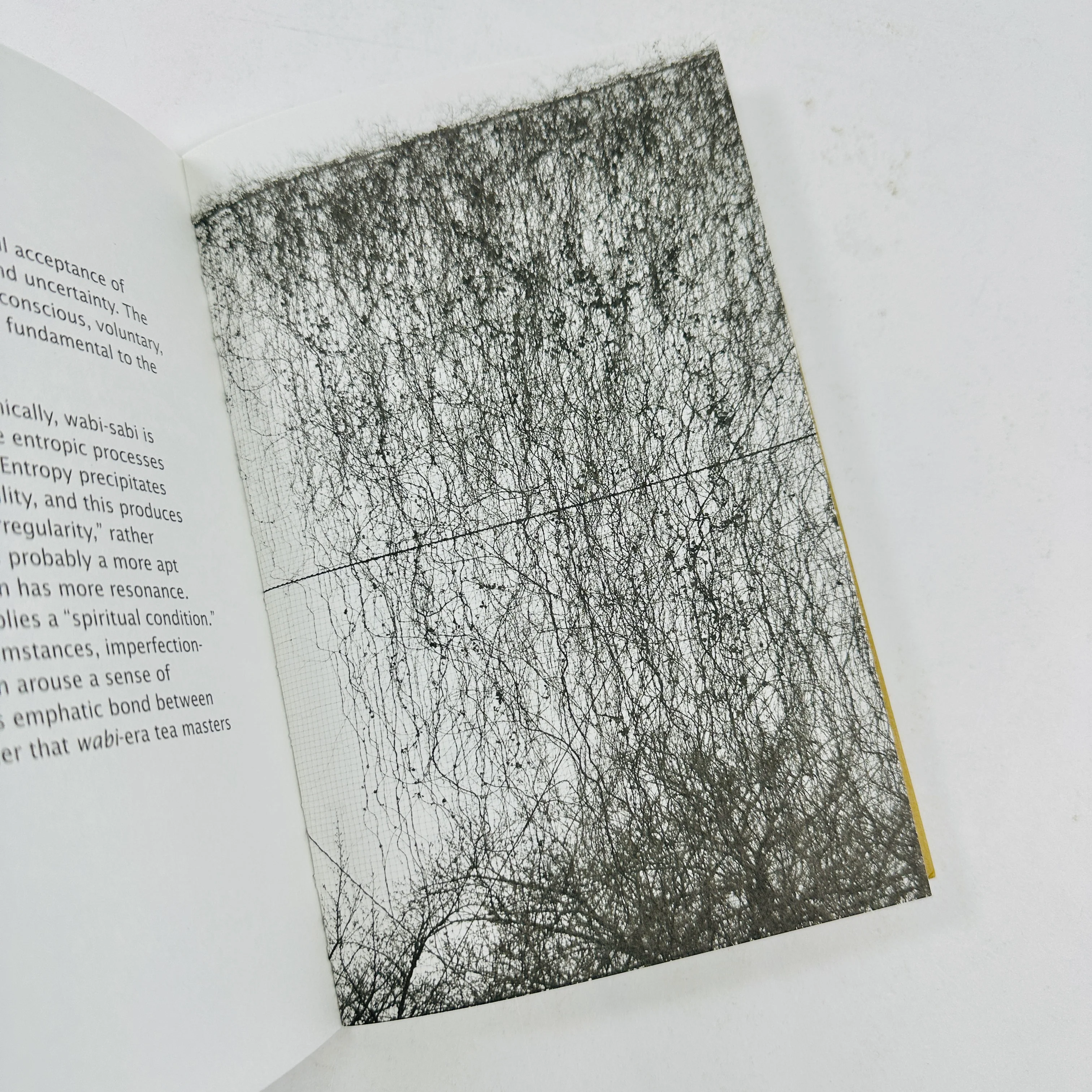 Wabi-Sabi - Further Thoughts - Image 4