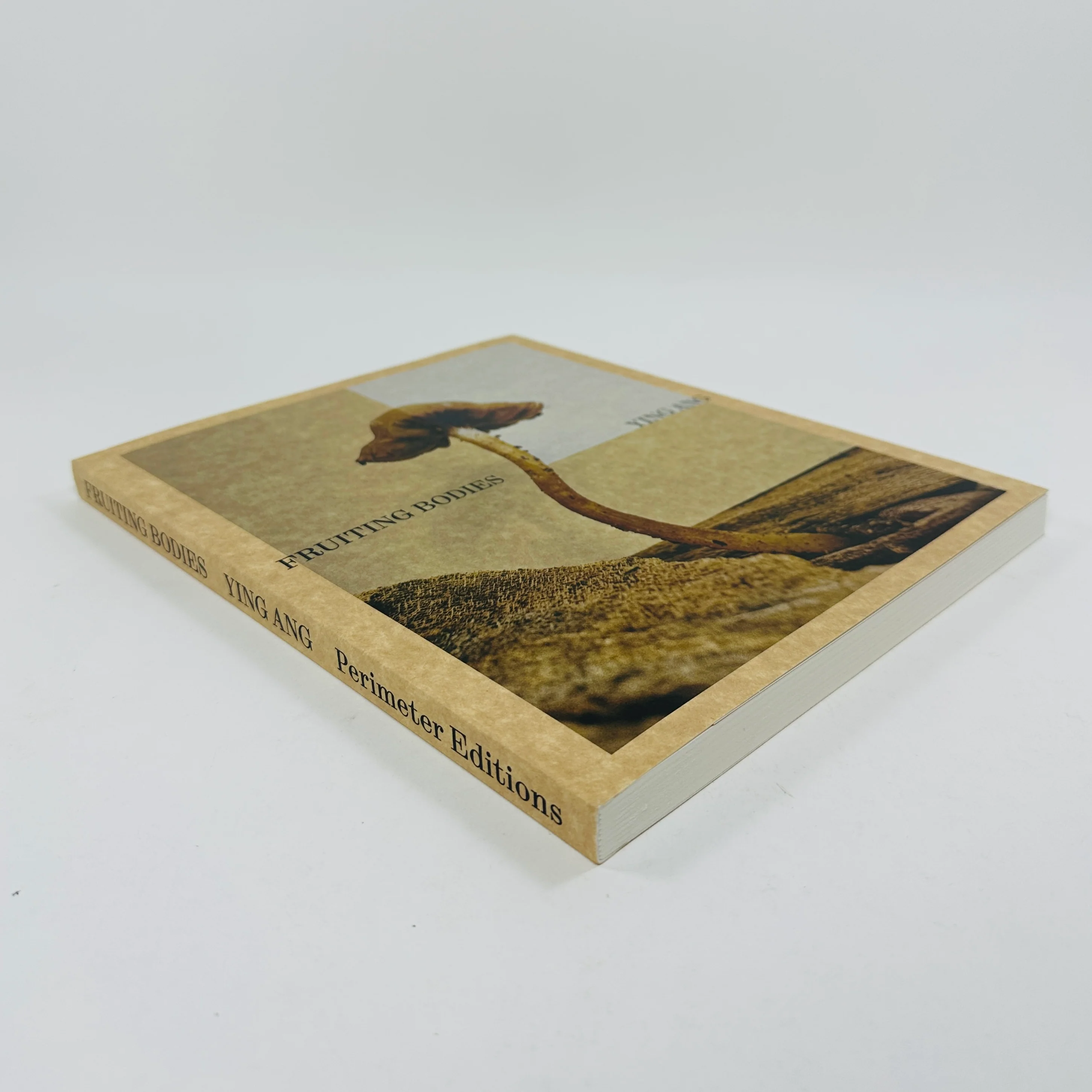 Ying Ang – Fruiting Bodies - Image 2